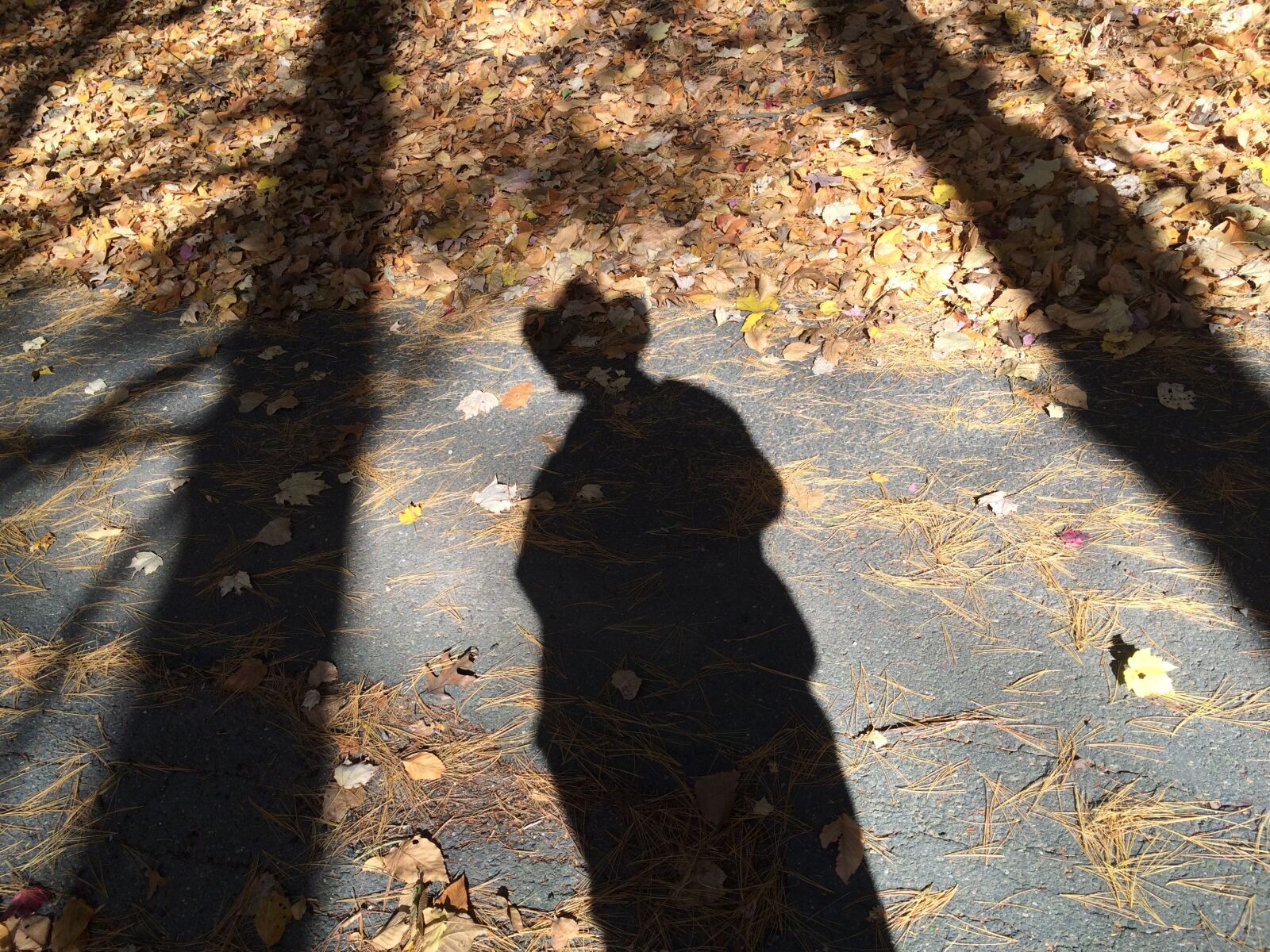 Apple iPhone 5s sample photo. Human shadow, sun shadow photography