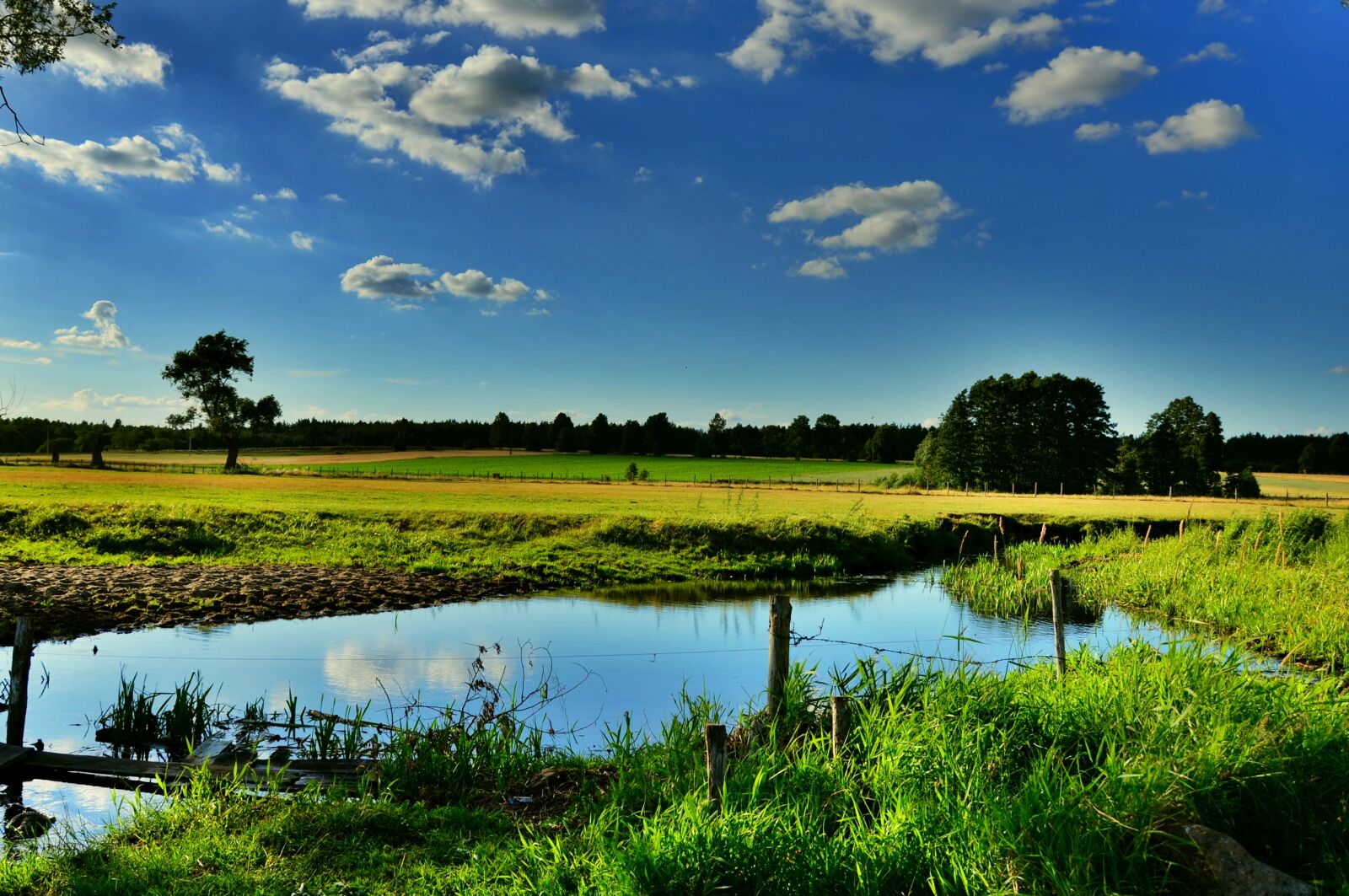Nikon D5100 sample photo. Suchowola, podlaskie, poland photography
