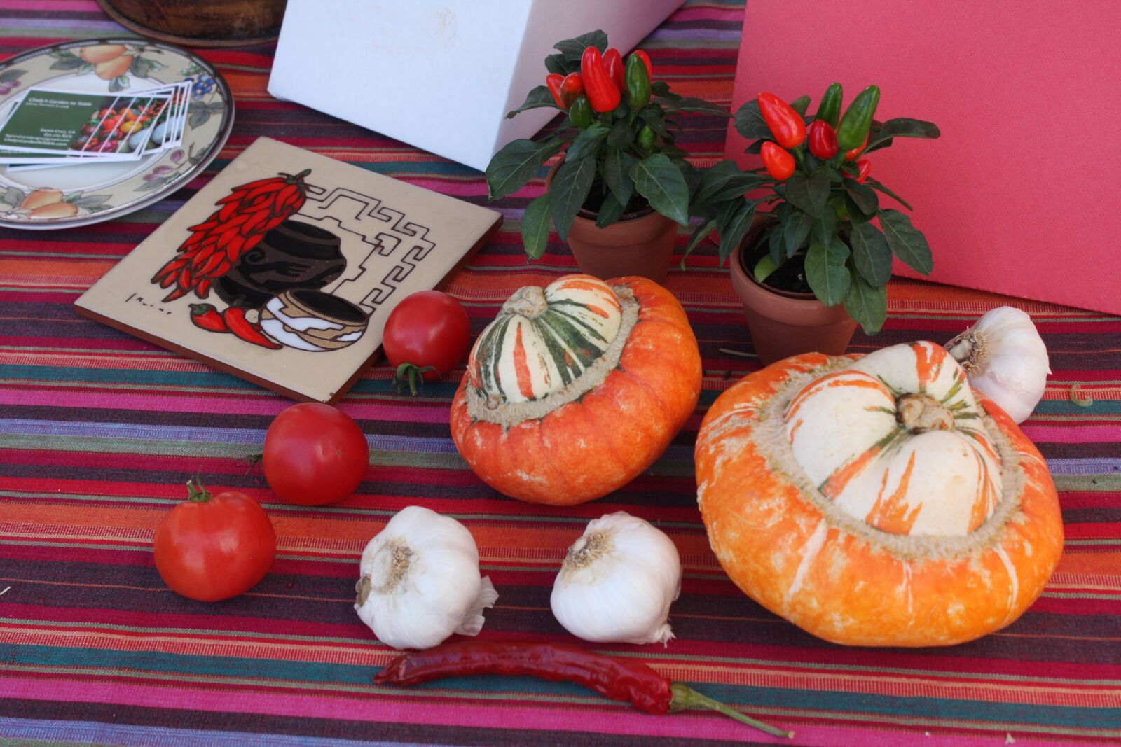 Canon EOS 40D sample photo. Pumpkins, autumn, vegetables photography