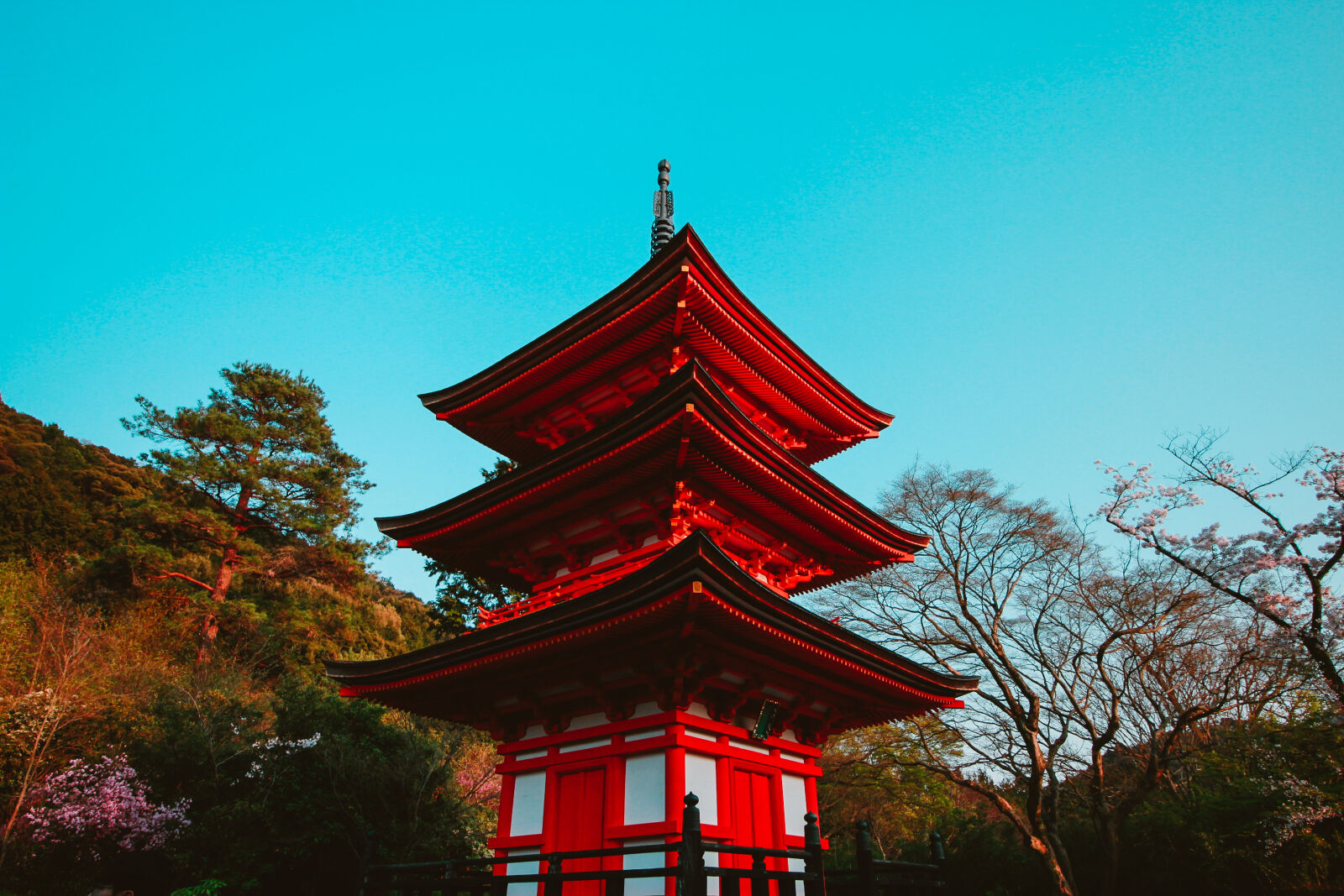 Canon EOS 600D (Rebel EOS T3i / EOS Kiss X5) sample photo. Japan, japanese, culture, red photography