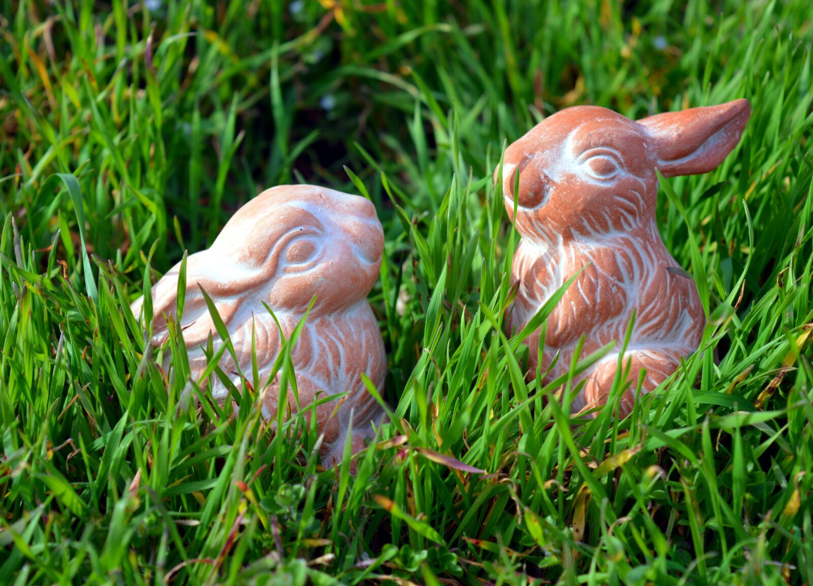 Nikon D3200 sample photo. Hare, easter bunny, easter photography