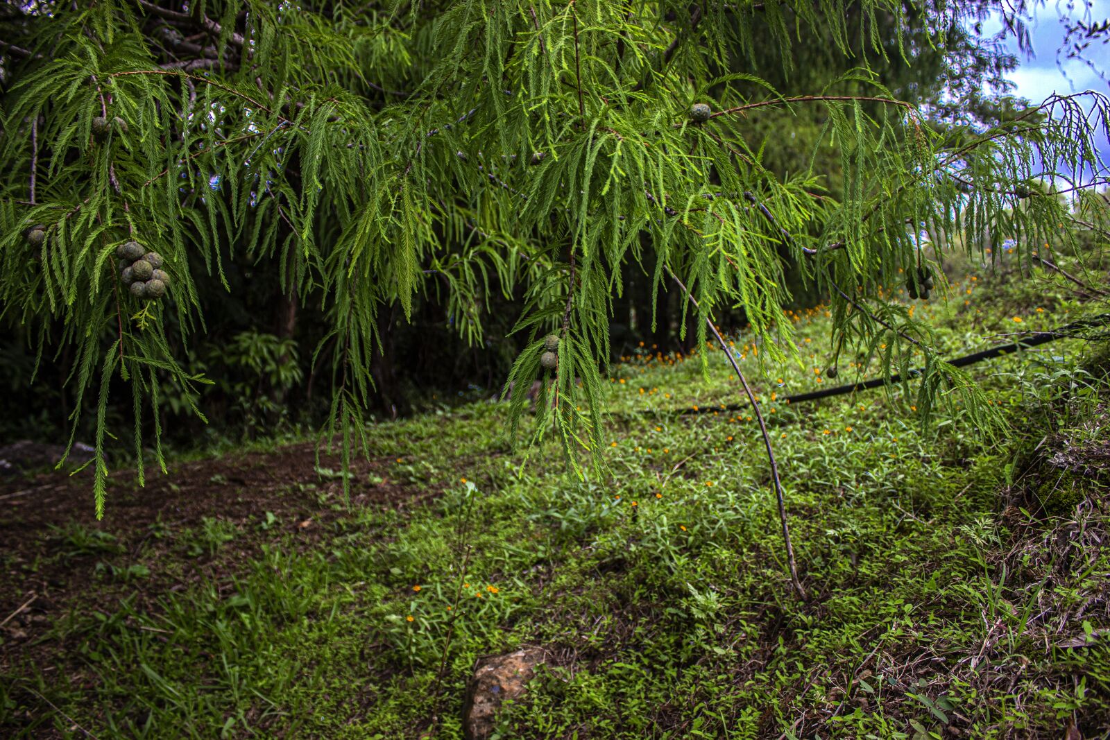 Canon EOS 600D (Rebel EOS T3i / EOS Kiss X5) sample photo. Landscape, water, nature photography