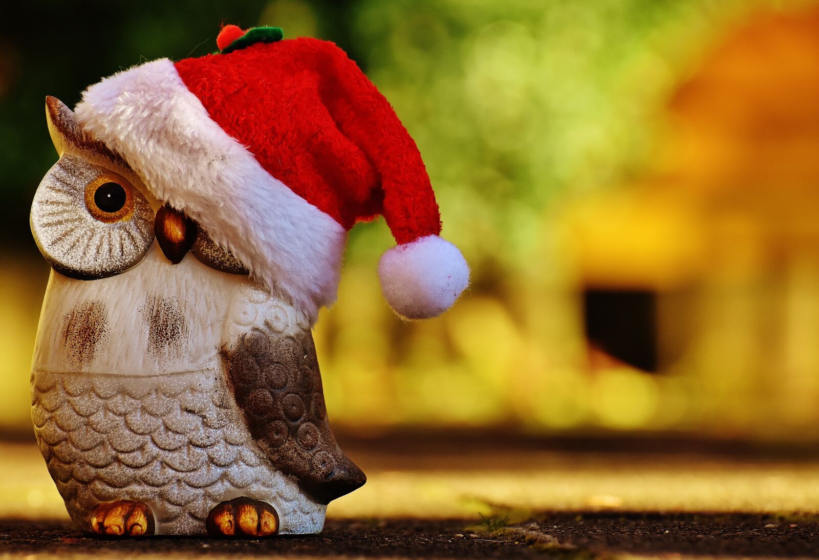 Nikon D7200 sample photo. Christmas, owl, santa hat photography
