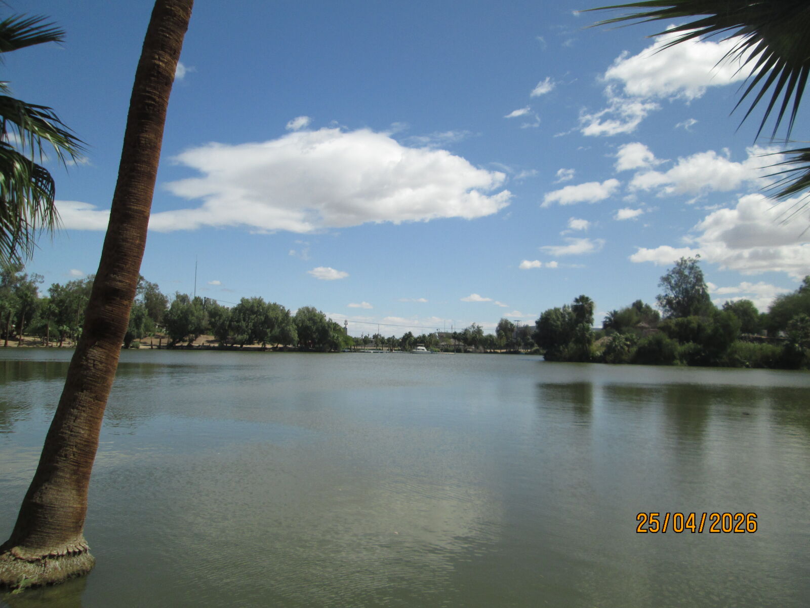 Canon PowerShot A810 sample photo