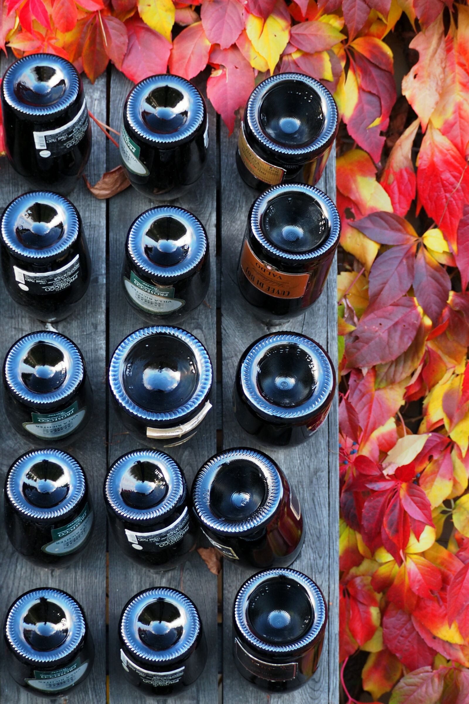 Olympus OM-D E-M10 sample photo. Wine, glass, autumn photography