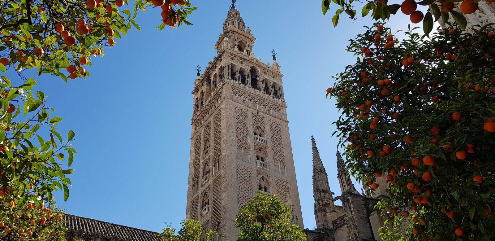 Samsung Galaxy S8+ sample photo. Sevilla, primavera, naranjos photography