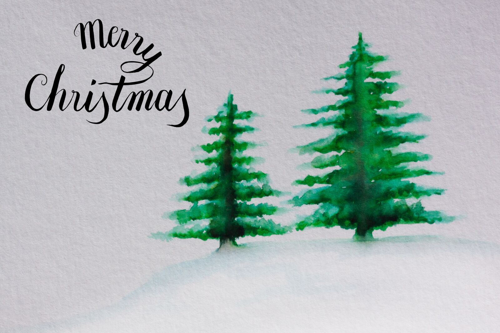 Canon EOS 50D sample photo. Christmas, map, fir tree photography