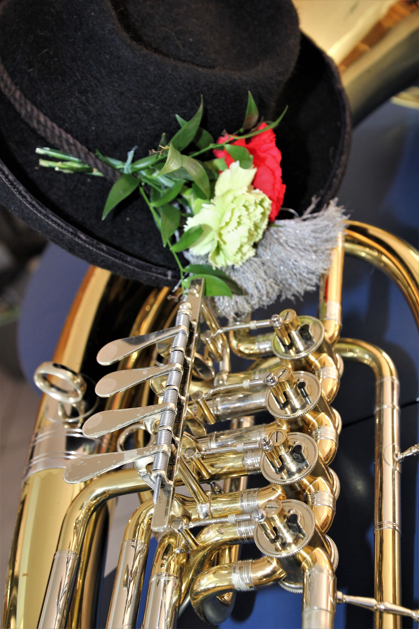Canon EOS 60D sample photo. Musical instrument, instrument, brass photography