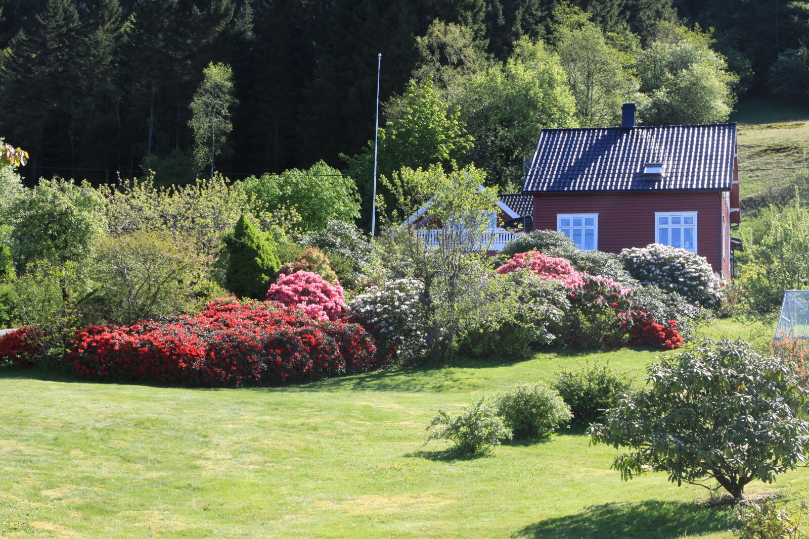 Canon EOS 50D sample photo. House, summer, norway photography