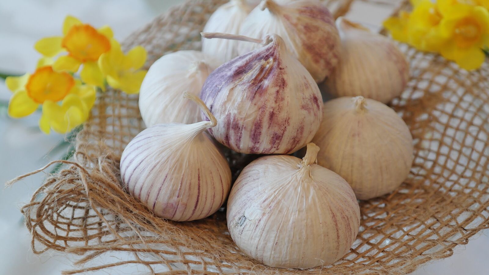 Samsung NX20 sample photo. Garlic, chinese garlic, allium photography