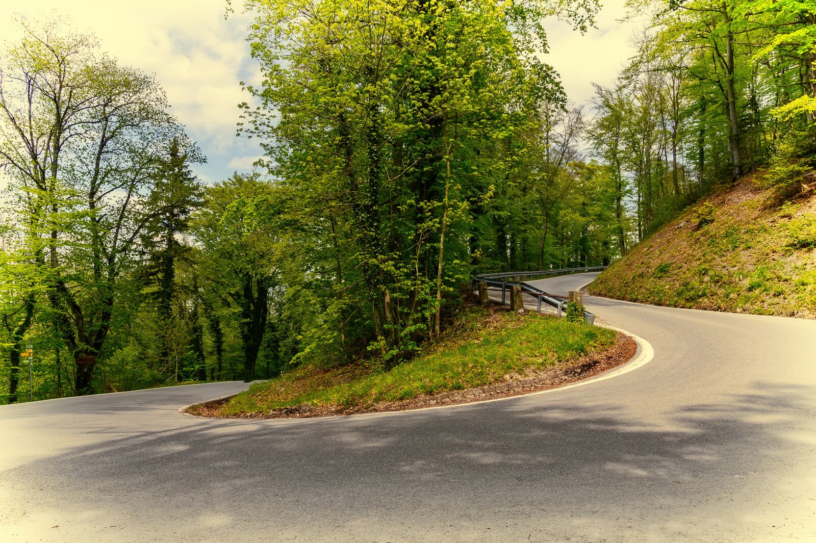 Nikon Z6 sample photo. Road, curve, serpentine photography