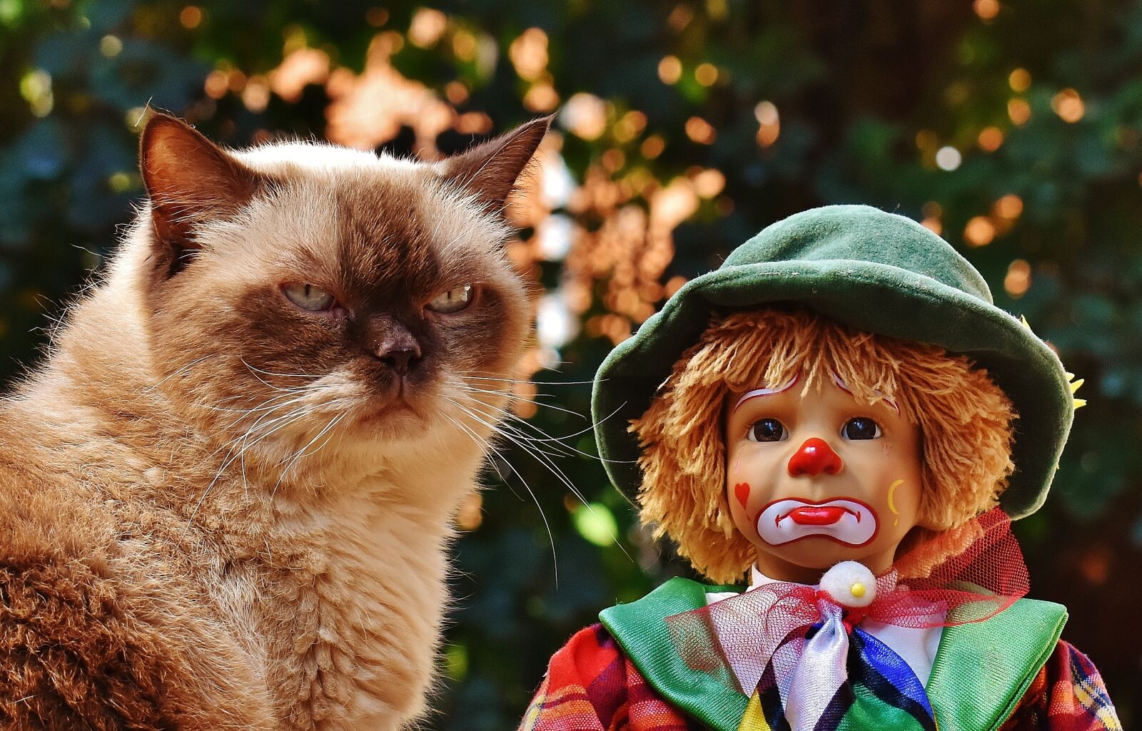 Nikon D7200 sample photo. Doll, clown, sad photography