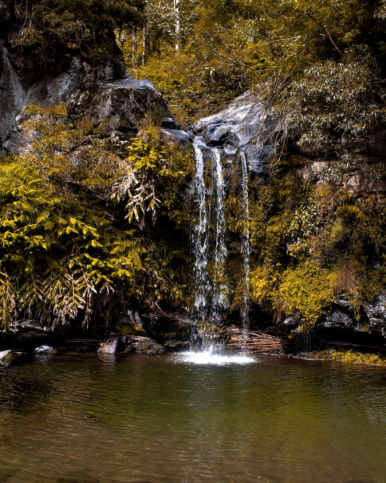 Canon EOS 4000D (EOS Rebel T100 / EOS 3000D) sample photo. Waterfall, nature, water photography