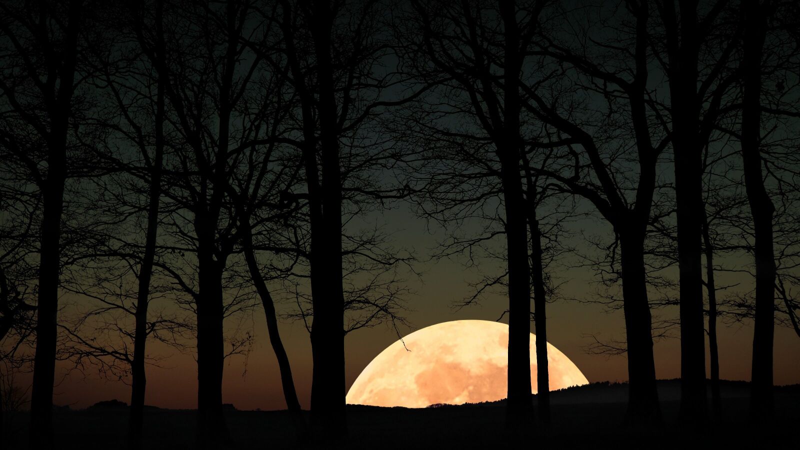 Olympus OM-D E-M10 sample photo. Moonrise, full moon, evening photography