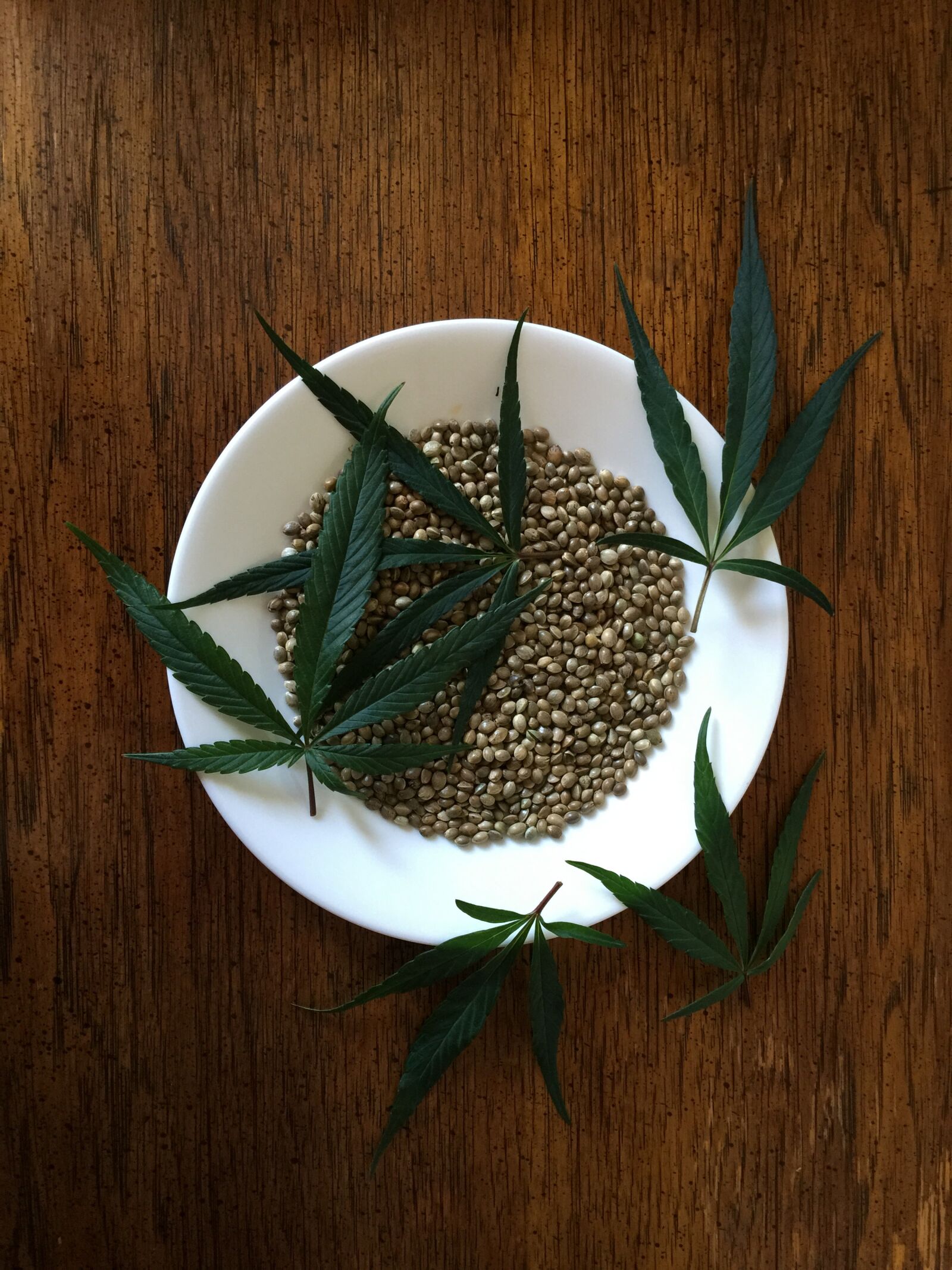 iPhone 6 Plus back camera 4.15mm f/2.2 sample photo. Hemp seeds, sativa, food photography