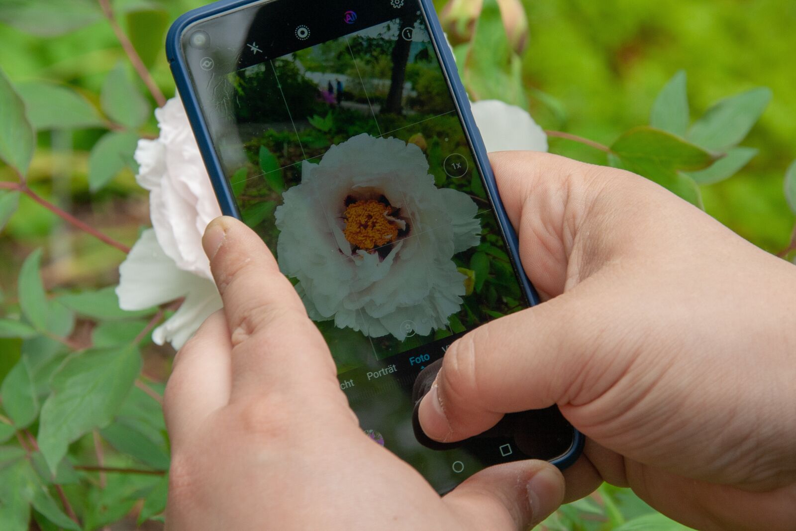 Canon EOS 400D (EOS Digital Rebel XTi / EOS Kiss Digital X) sample photo. Smartphone, flowers, mobile photography