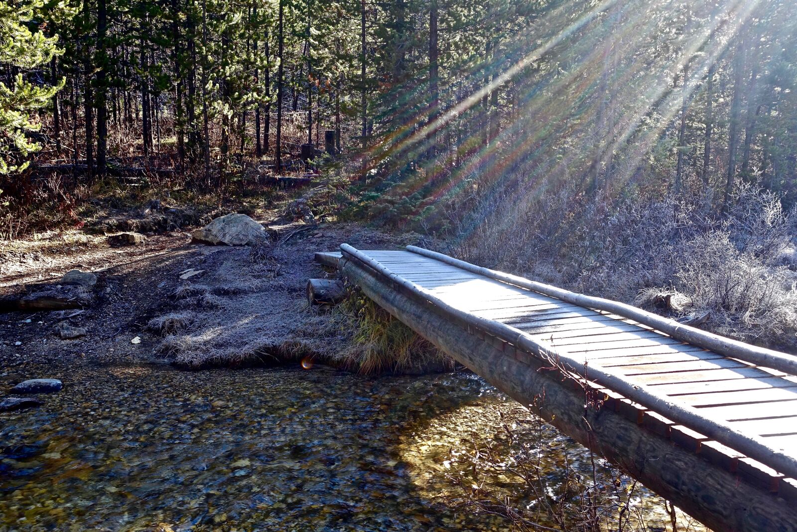 Sony Cyber-shot DSC-RX100 III sample photo. Sun rays, light, bridge photography