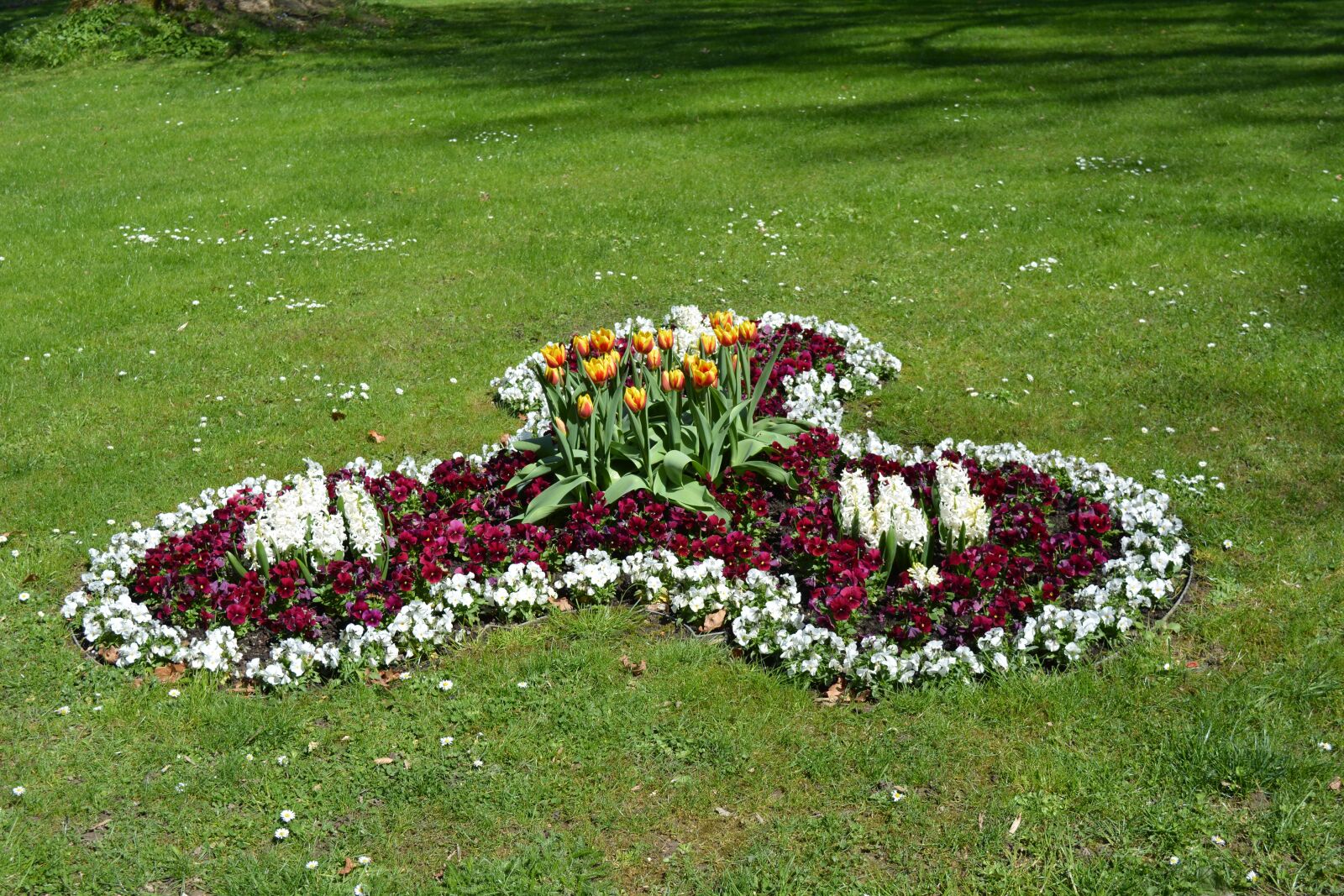Nikon D5200 sample photo. Flower, greizer park, thuringia photography