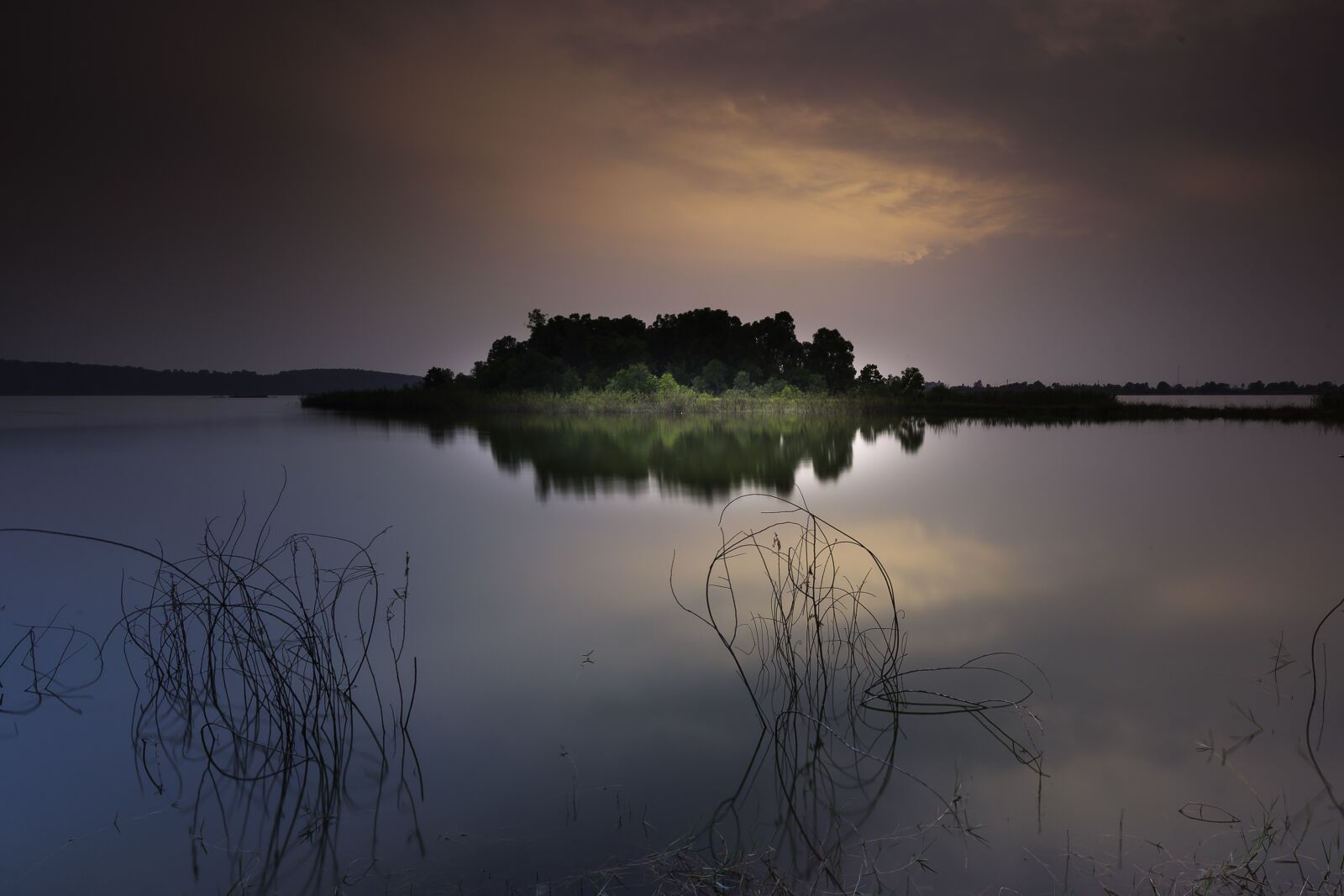 Canon EF 16-35mm F4L IS USM sample photo. Outdoor, sunset, grass reeds photography
