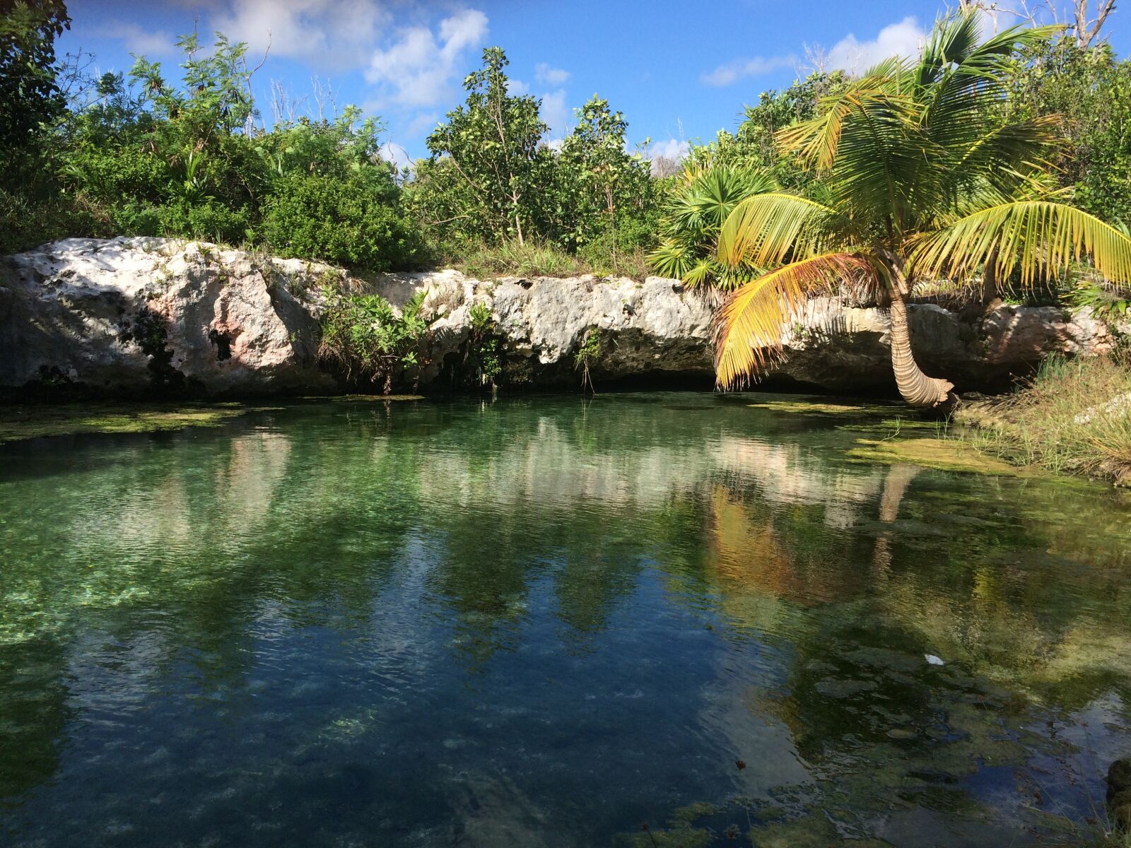 iPhone 5s back camera 4.15mm f/2.2 sample photo. Tulum, quintana roo, mexico photography