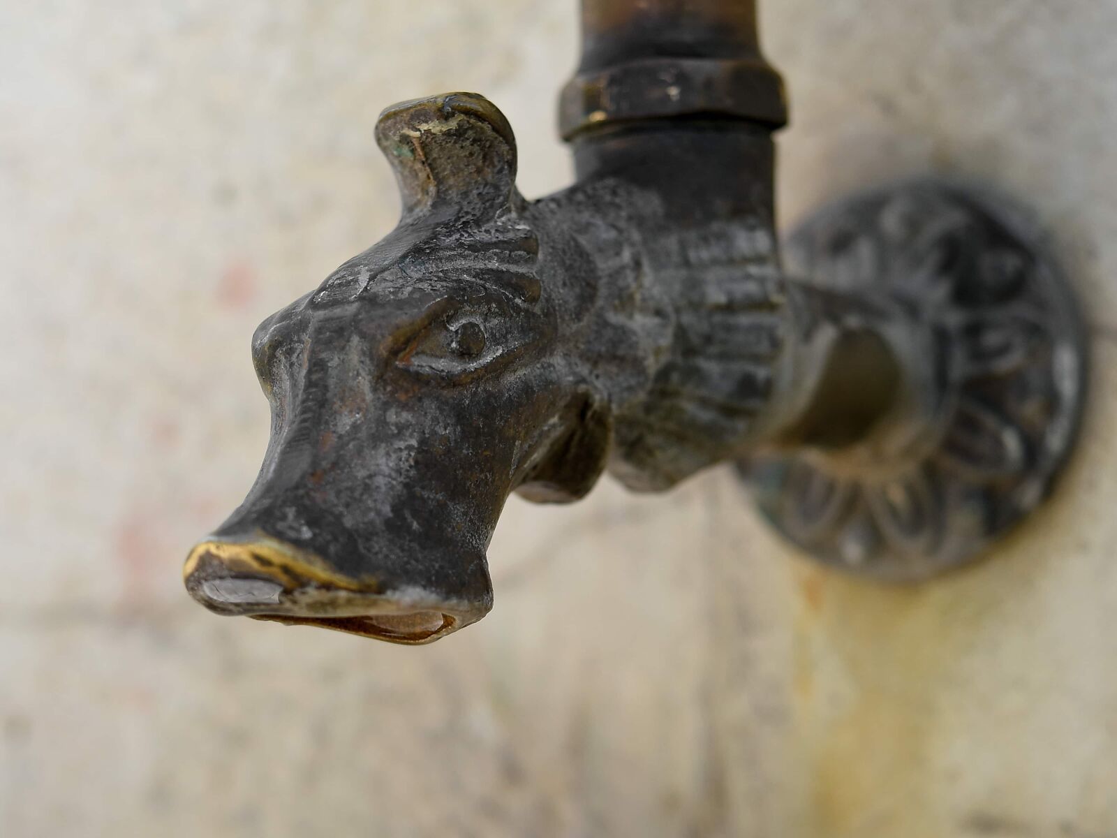 Nikon D5500 sample photo. Brass, bronze, faucet, sculpture photography