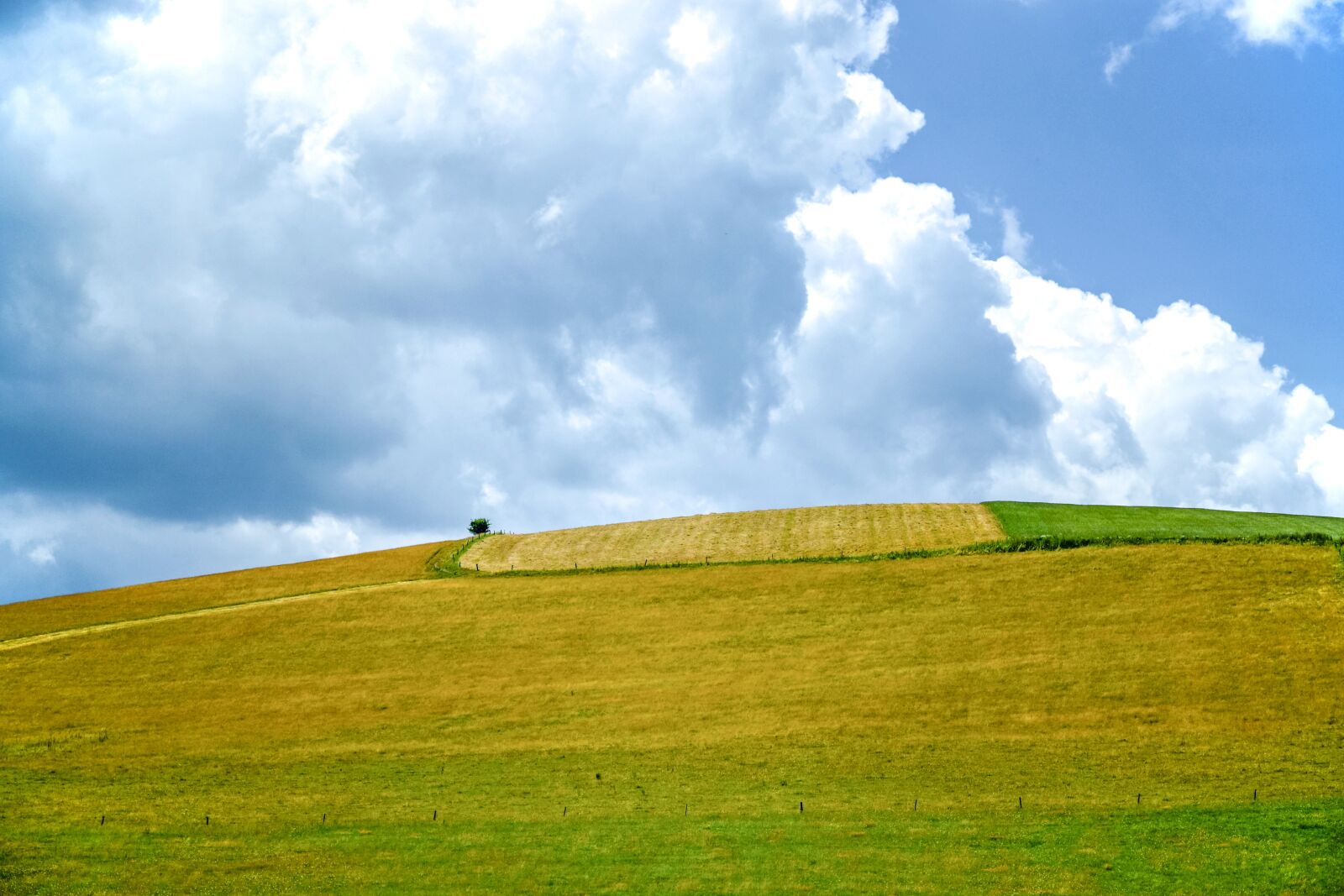 Nikon D5300 sample photo. Pasture land, meadow, role photography