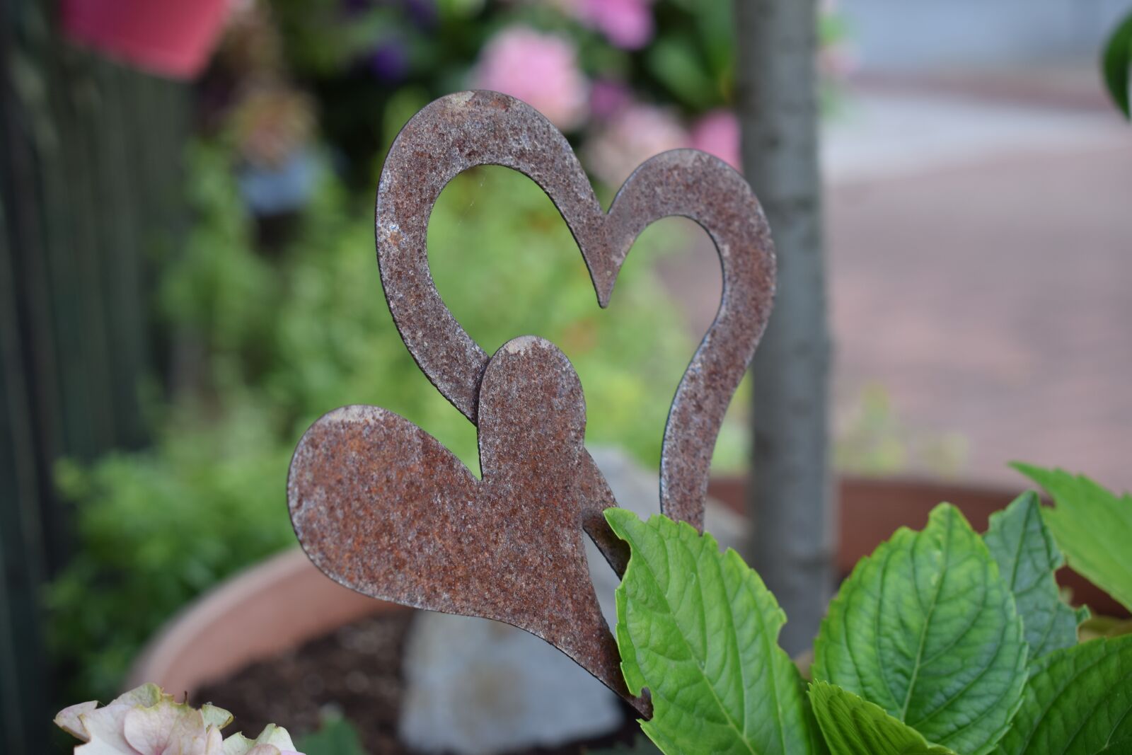 Nikon D5300 sample photo. Heart, metal, garden photography