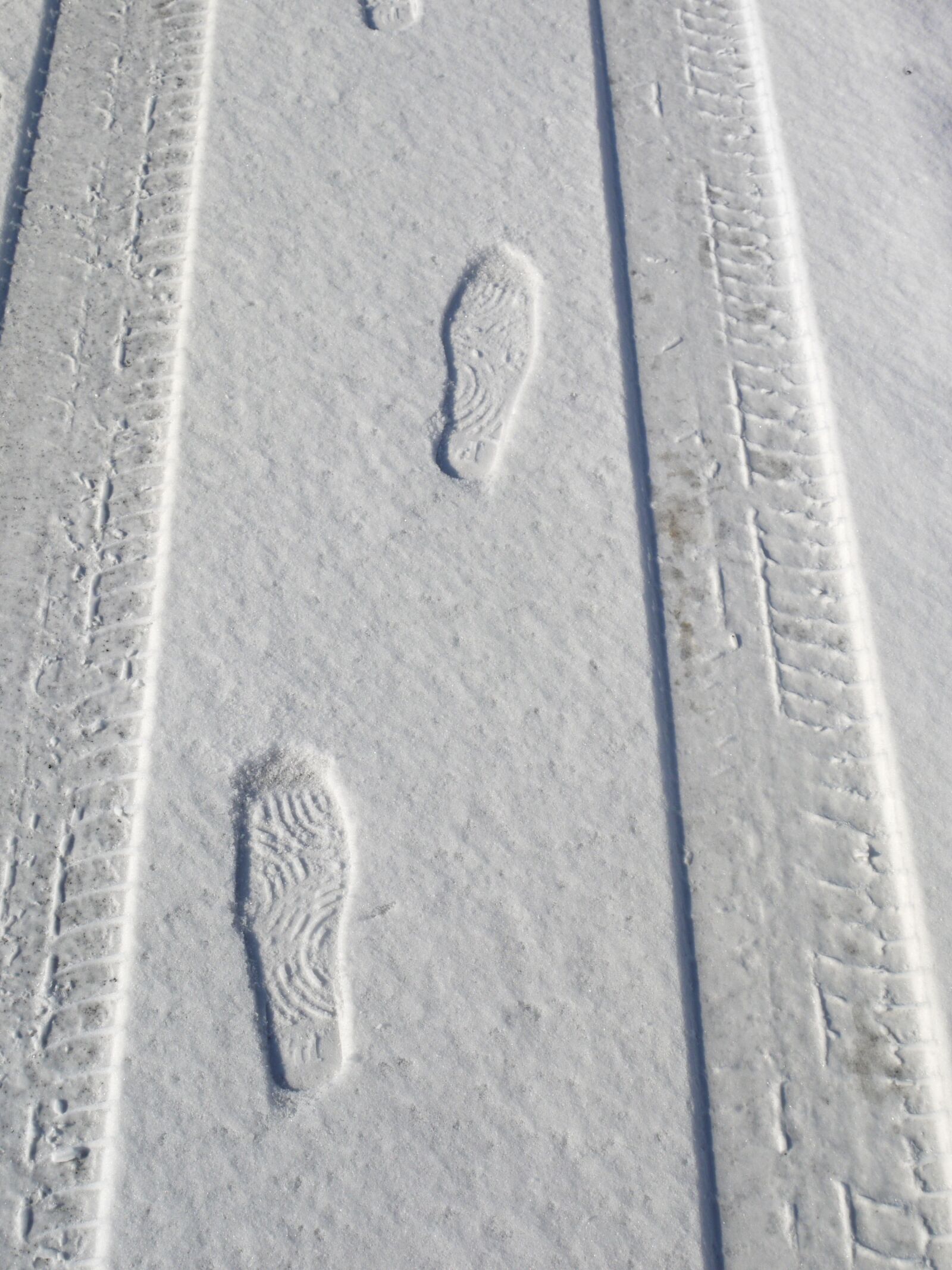 Panasonic Lumix DMC-G1 sample photo. Trace, footprint, snow photography