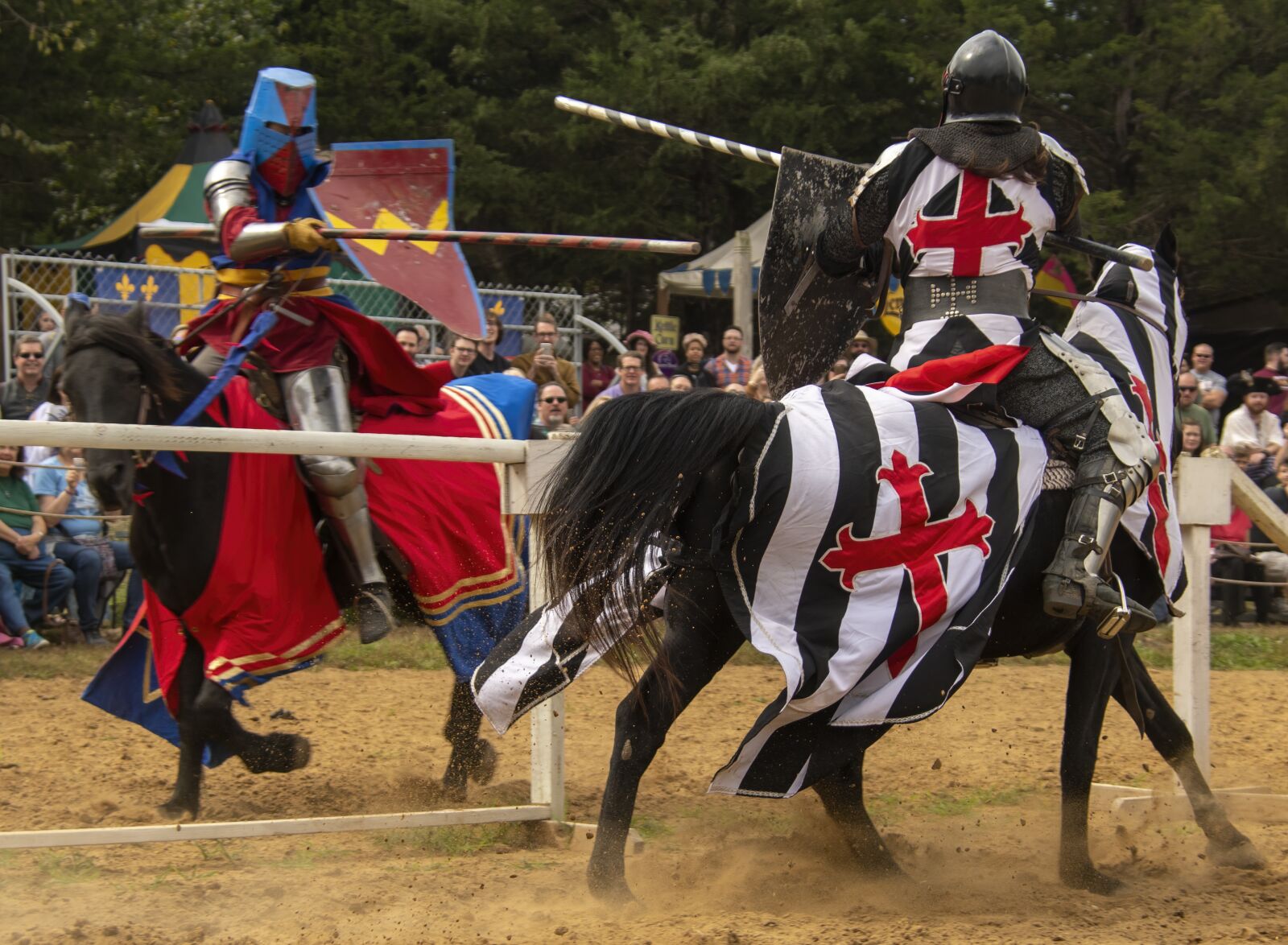 Nikon D850 sample photo. Joust, jousting, combat photography