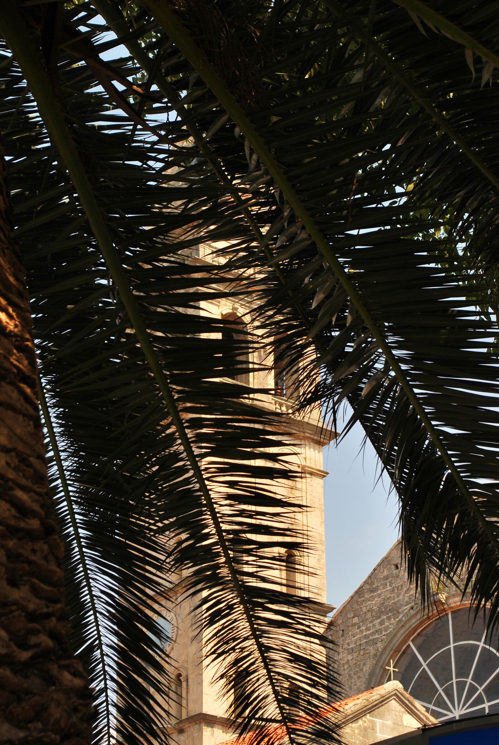 Nikon D60 sample photo. Tree, tower, architecture photography