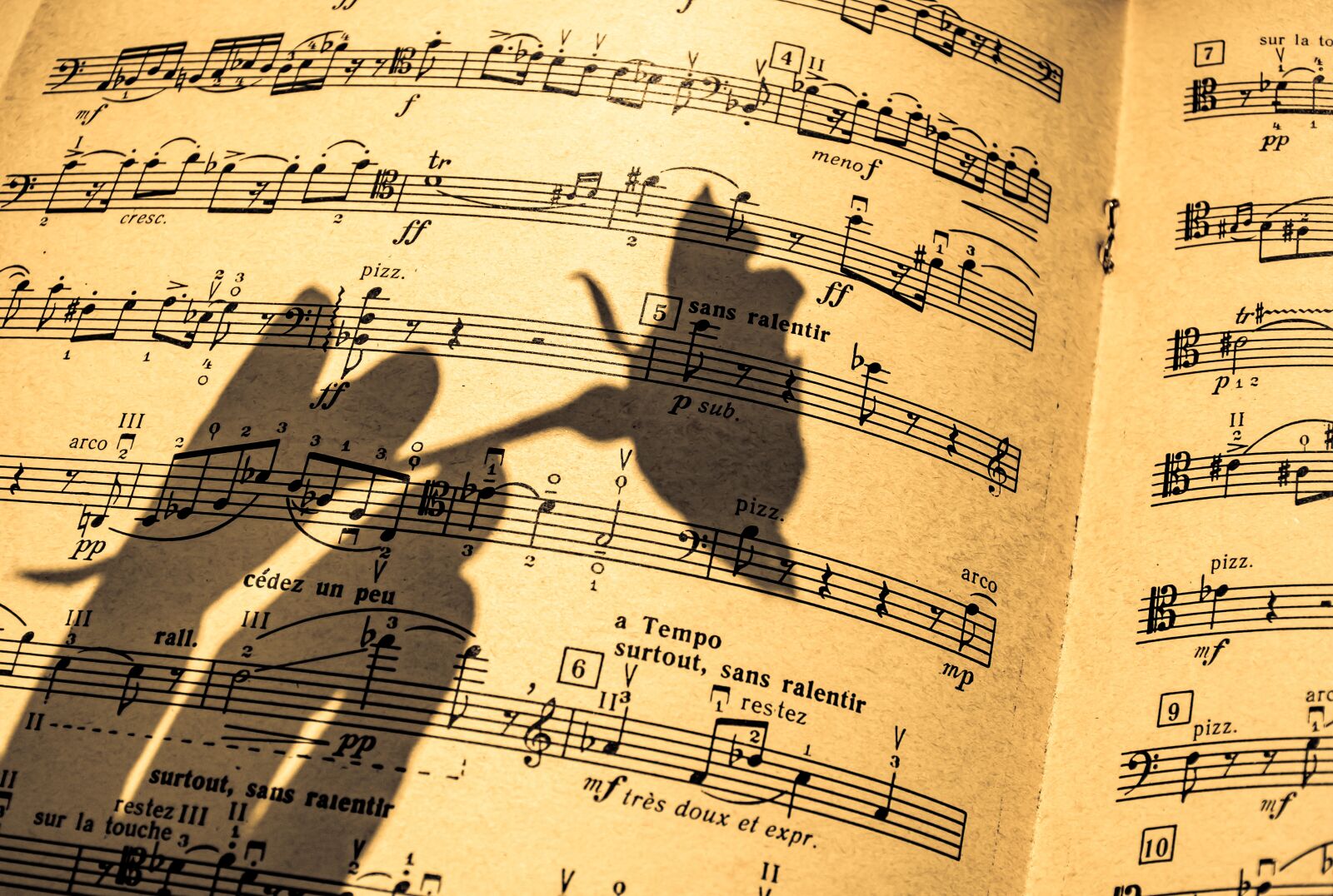 Nikon D5600 sample photo. Music sheet, in a photography