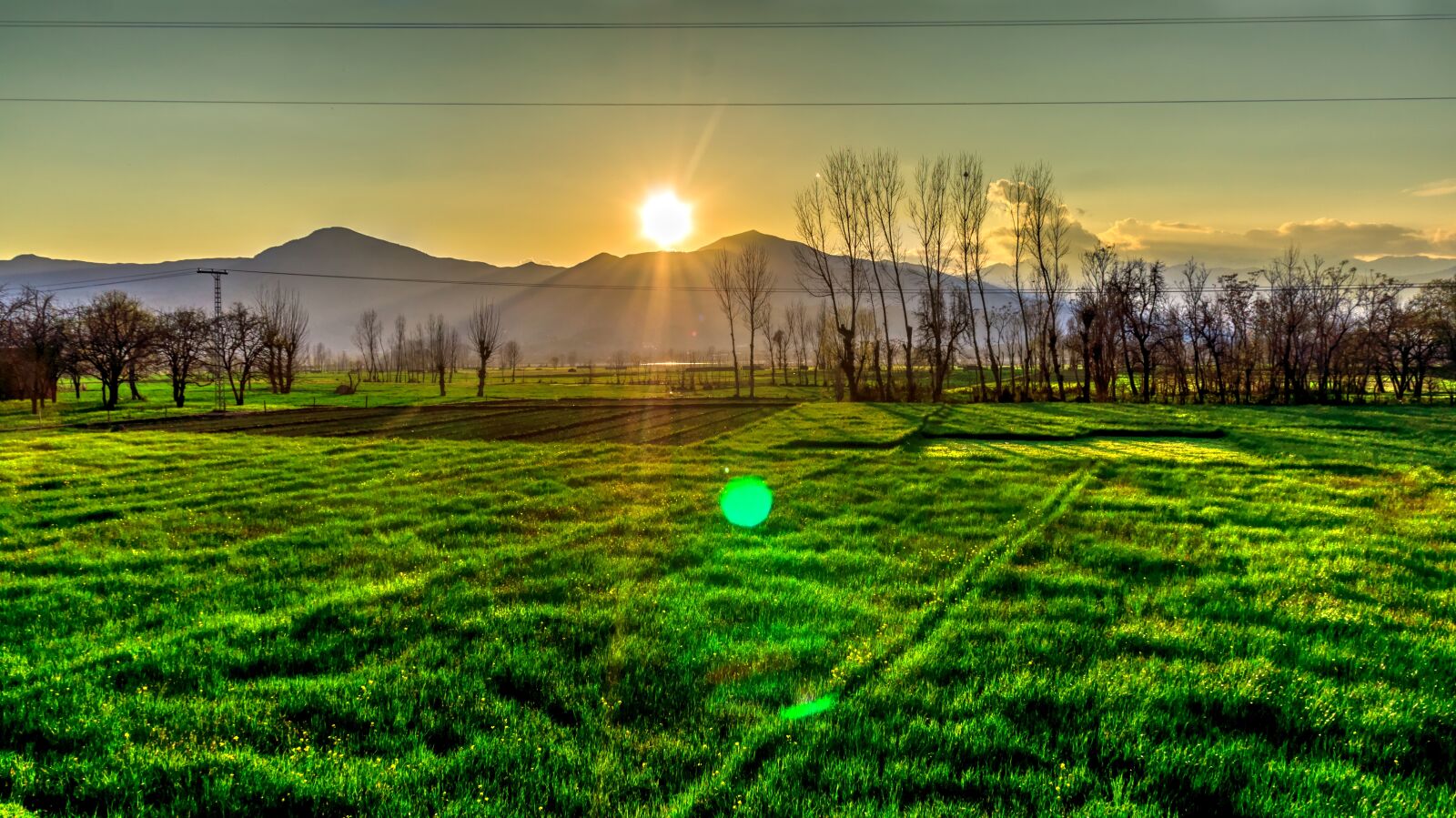 Sony Alpha NEX-5N sample photo. Golden, hour, view, on photography
