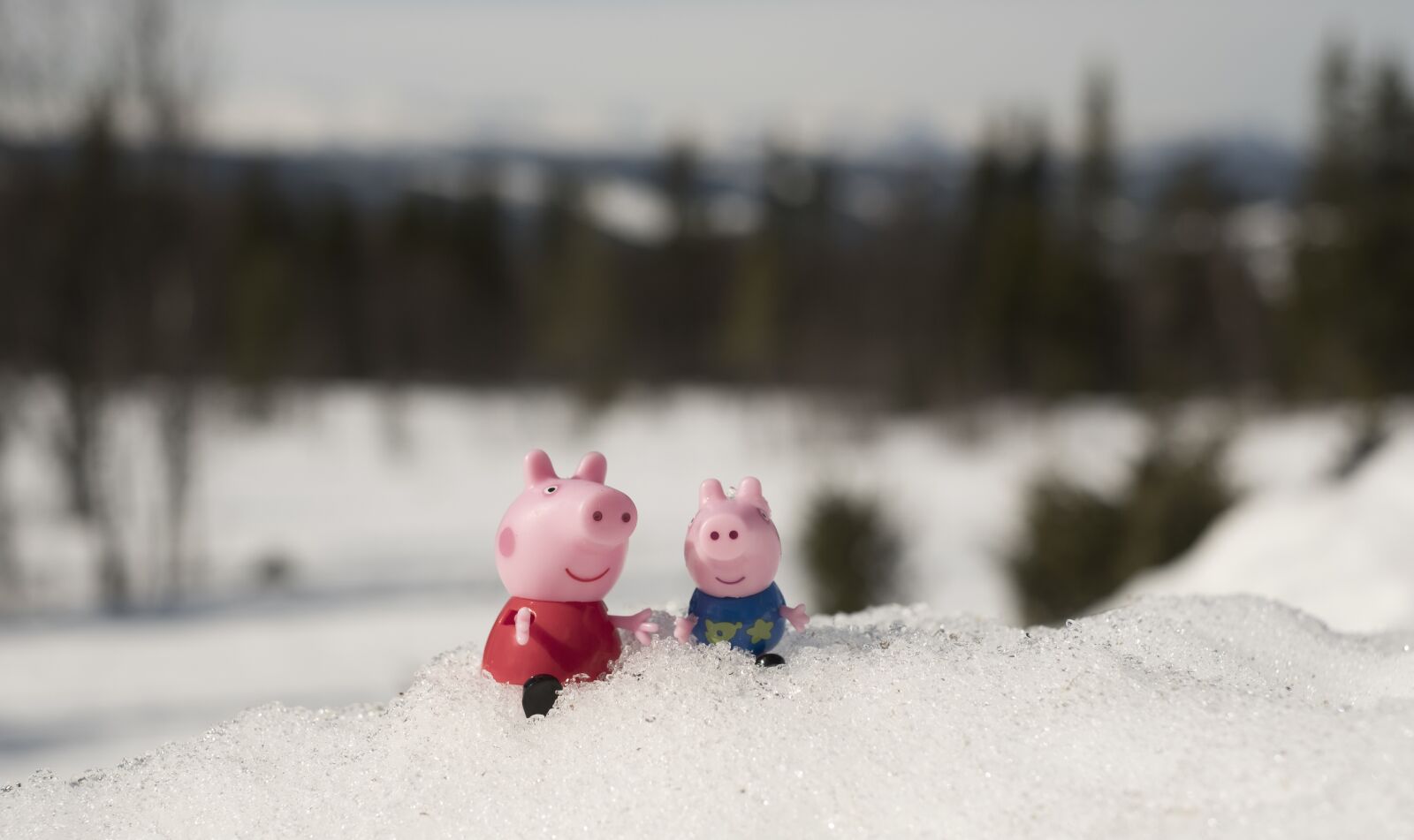 Fujifilm X-T20 + Fujifilm XF 35mm F1.4 R sample photo. Peppa pig, pig, toy photography