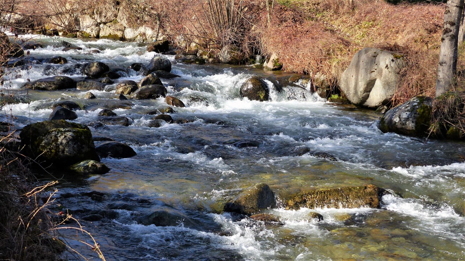 Panasonic Lumix DMC-FZ200 sample photo. Nature, river, roche photography