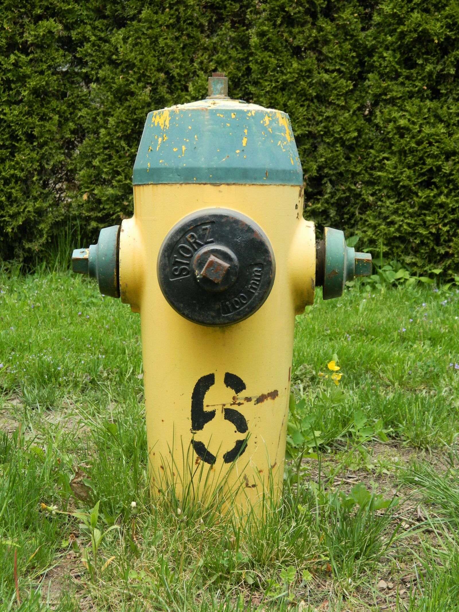 Nikon Coolpix L120 sample photo. Hydrant, water connection, fire photography