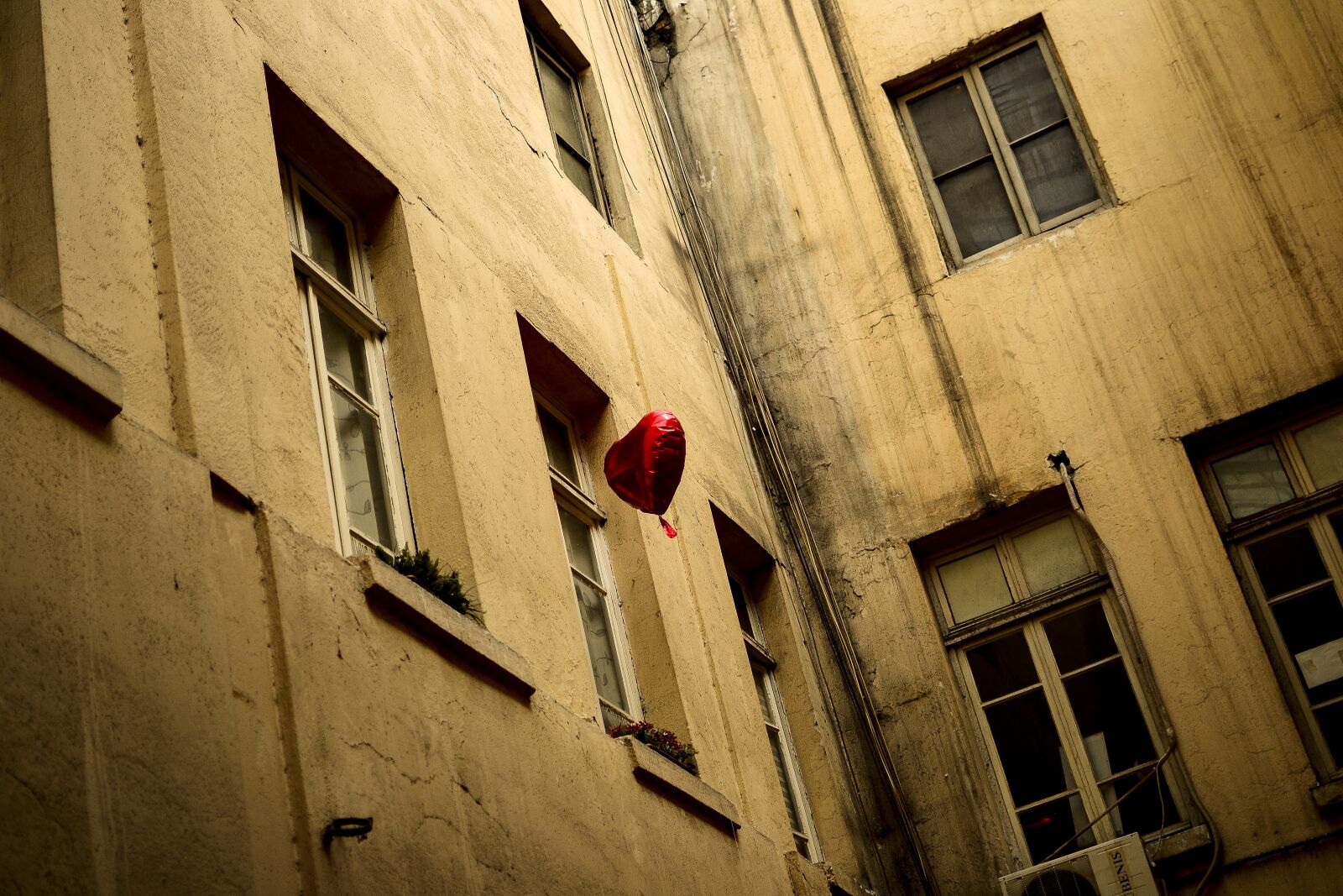 Nikon D3100 sample photo. Heart, red, old photography