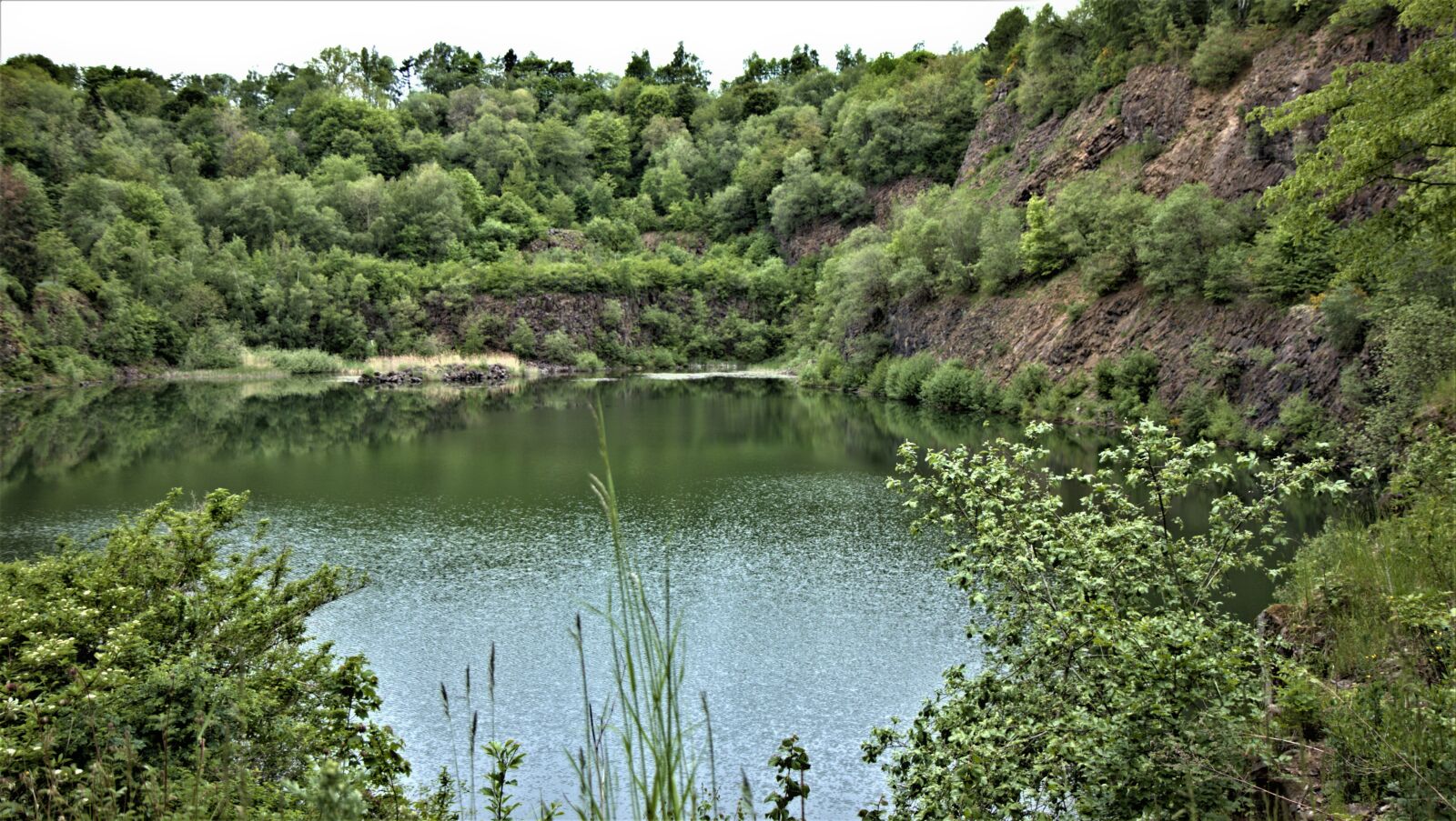 Canon EOS 80D sample photo. Basaltsee, water, bushes photography