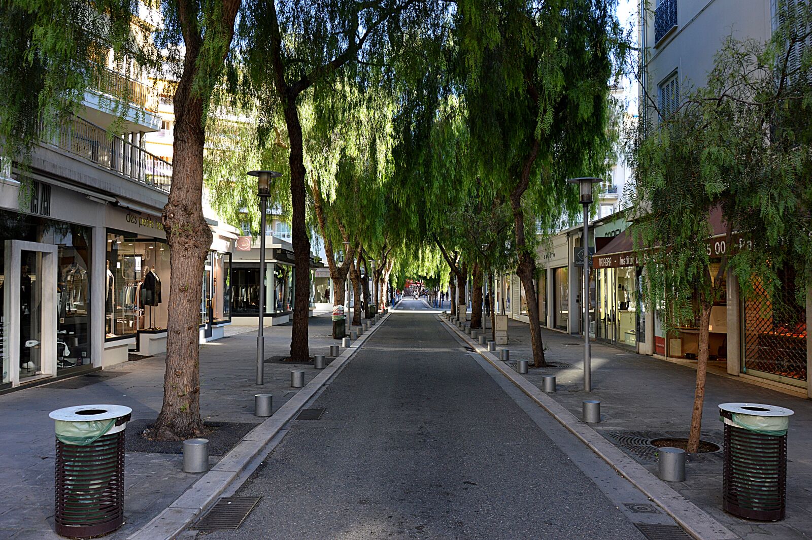 Nikon D3200 sample photo. Street, trees, city photography