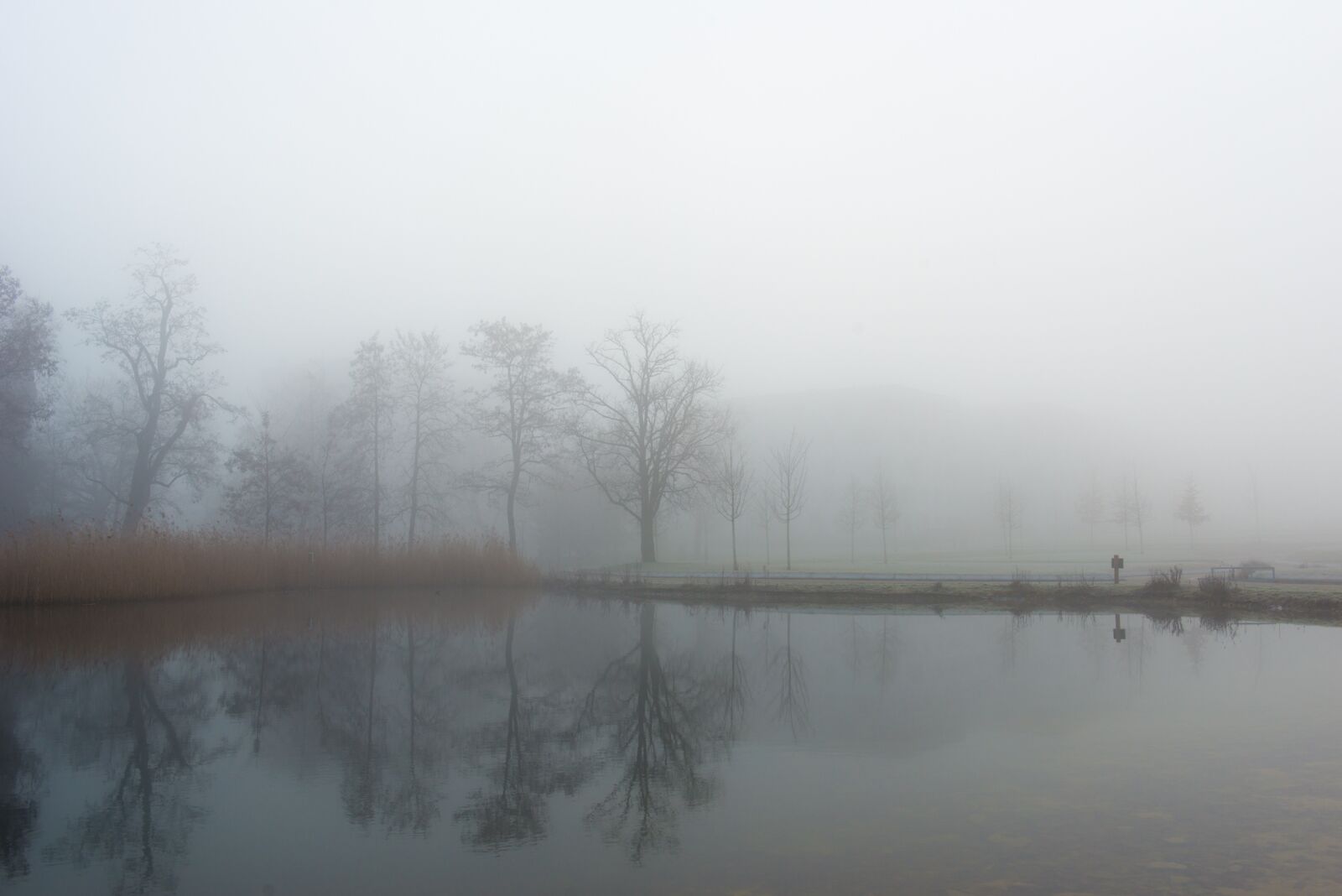 Nikon D800 sample photo. Stuttgart, killesberg park, lake photography
