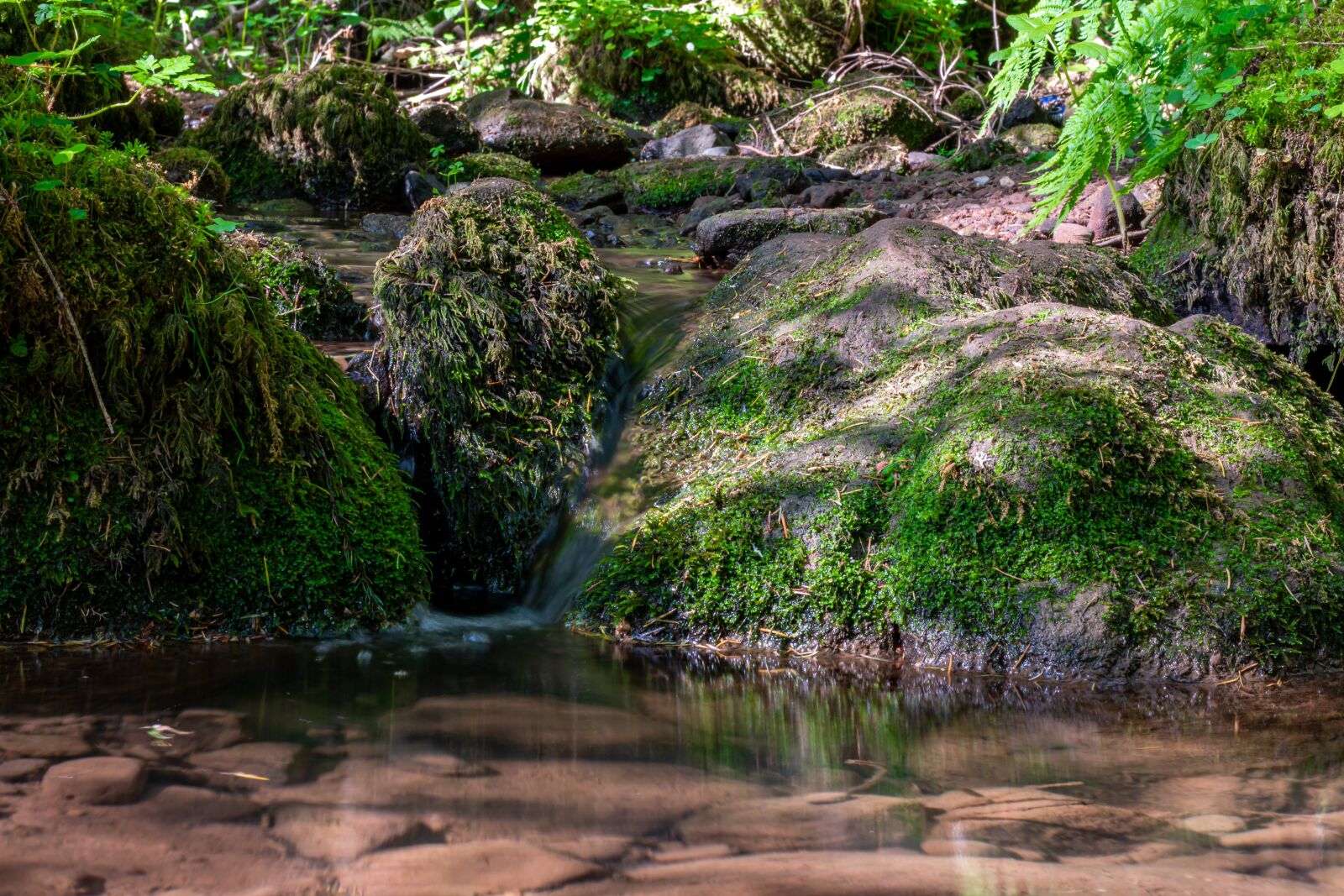 Canon EOS 70D + Canon EF 50mm F1.8 STM sample photo. Trickle, water, stones photography