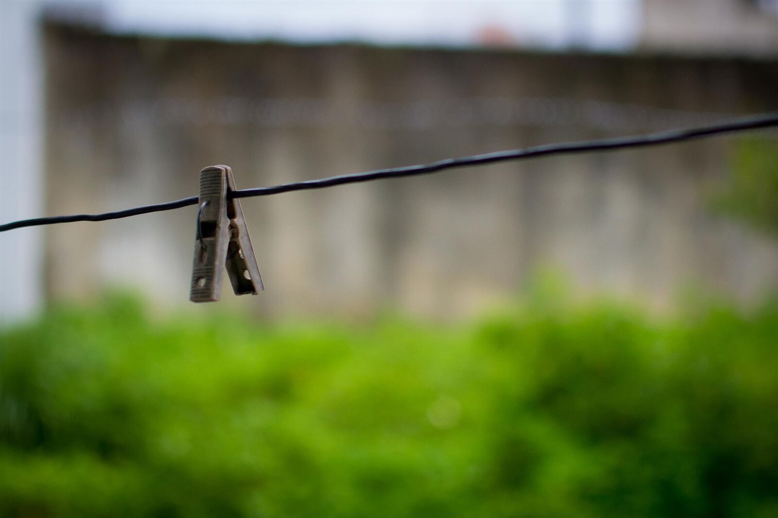 Nikon D3100 sample photo. 35mm, dof, nikon photography