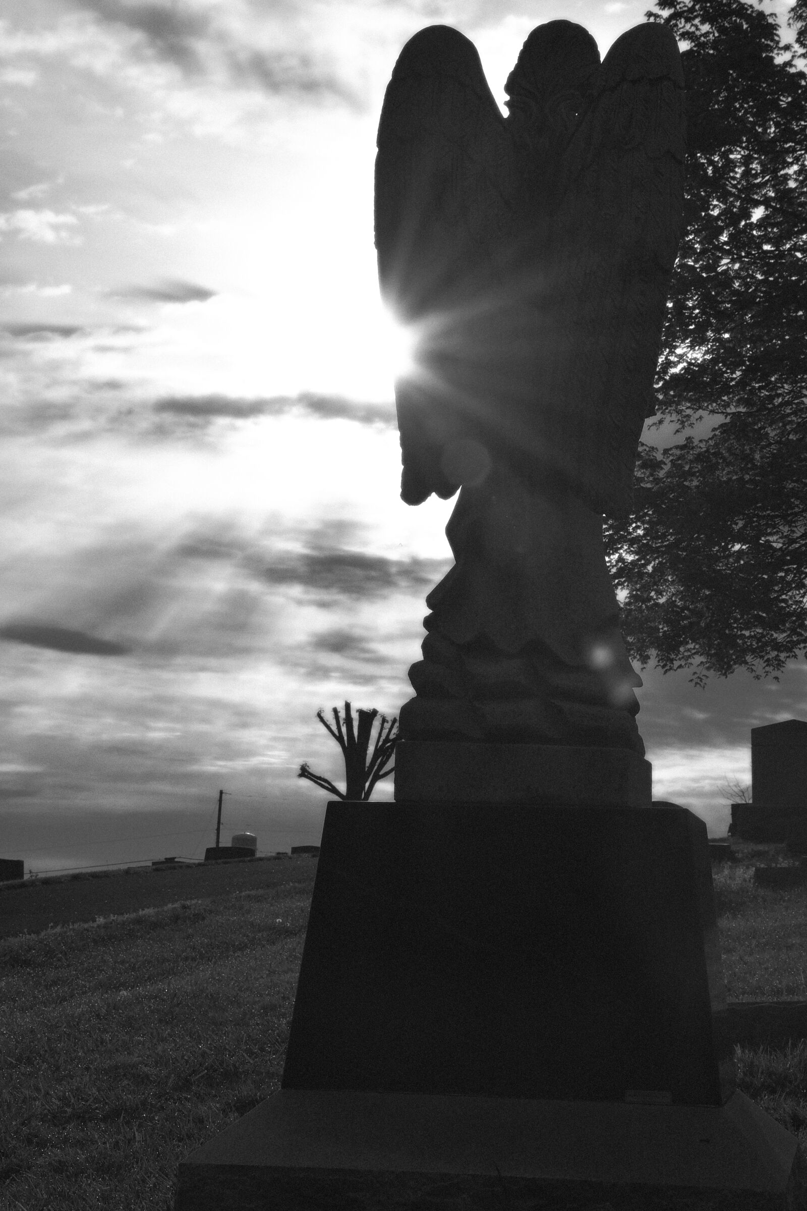 Nikon D7500 sample photo. Statue, cemetery, sunrise photography