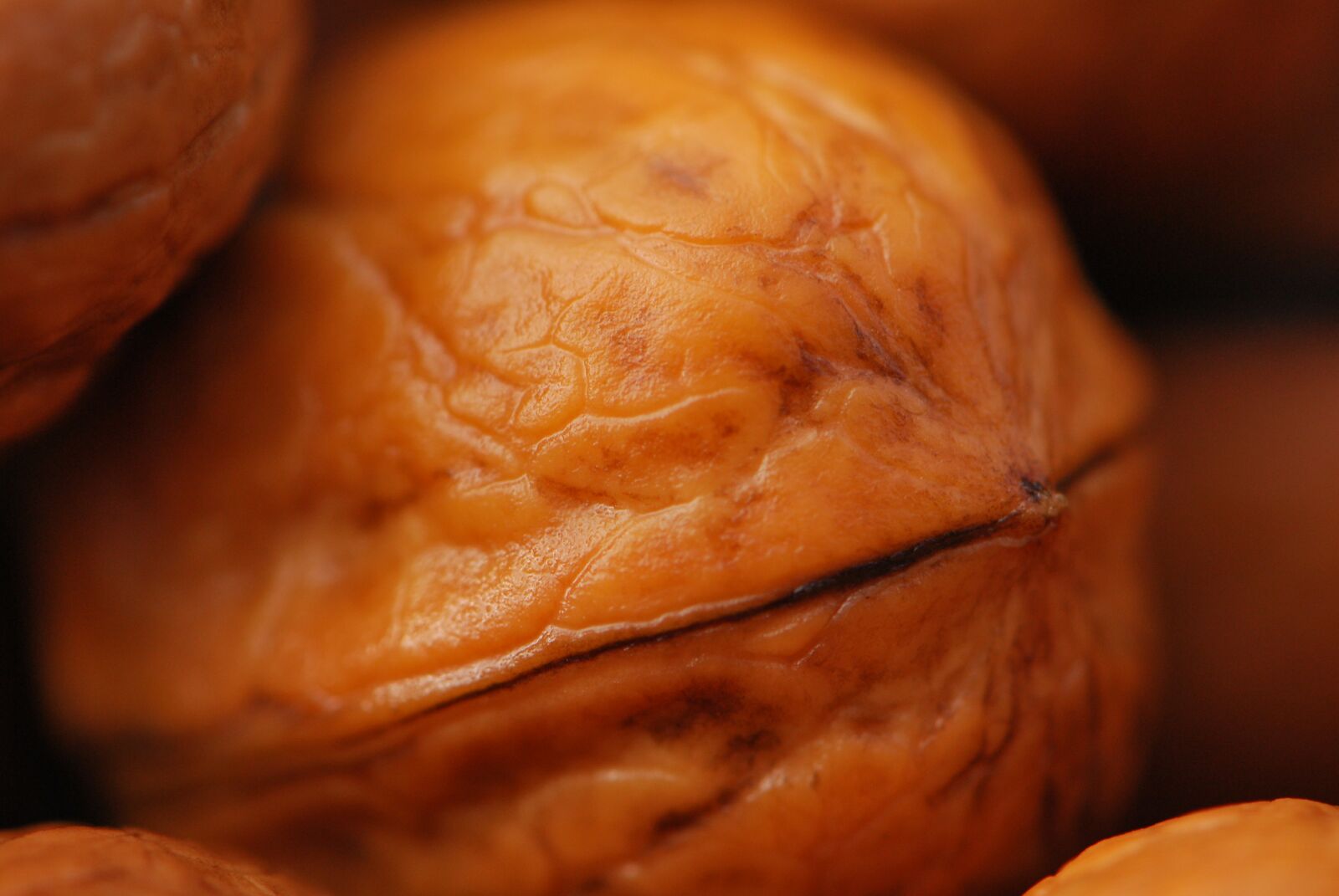 Nikon D60 sample photo. Walnut, brown, food photography