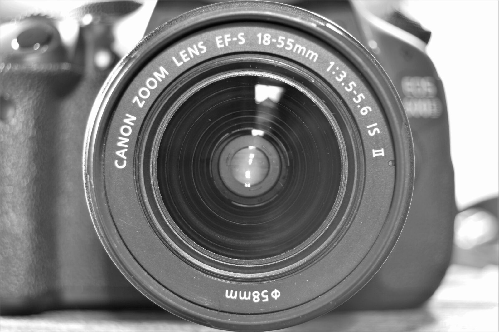 Nikon D3200 + Nikon AF-S DX Nikkor 18-55mm F3.5-5.6G II sample photo. Camera, canon, dslr, focus photography