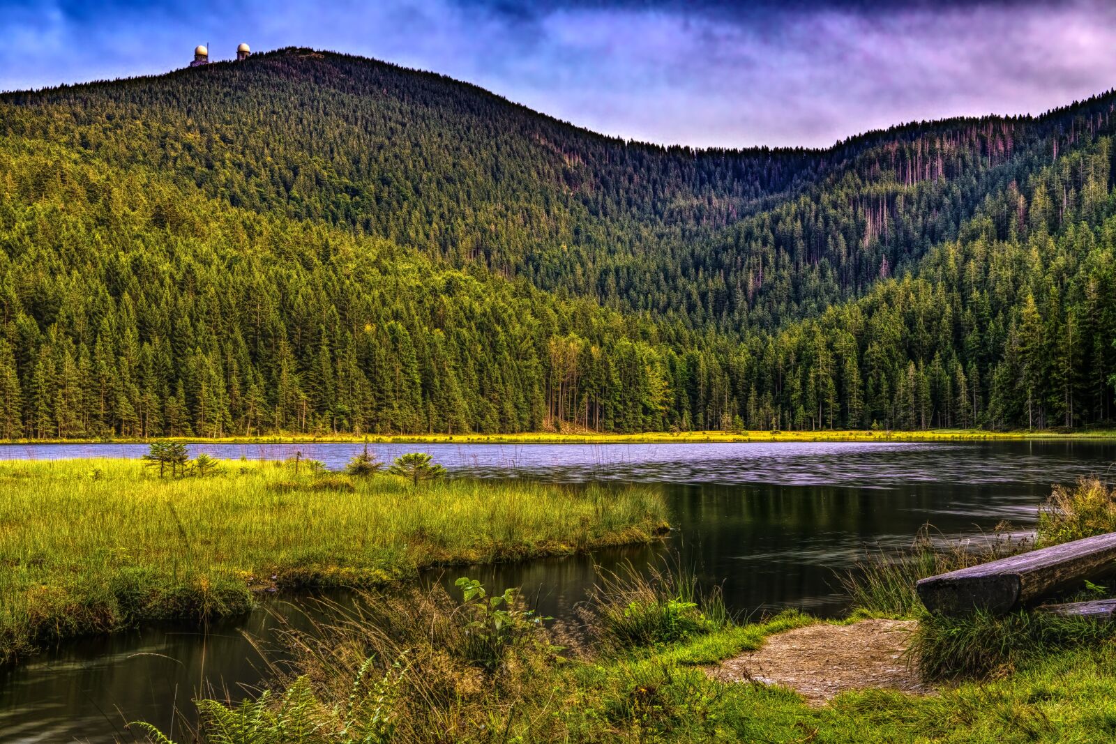 Sony a6300 + Sigma 30mm F2.8 EX DN sample photo. Kleiner arbersee, arber, bavaria photography