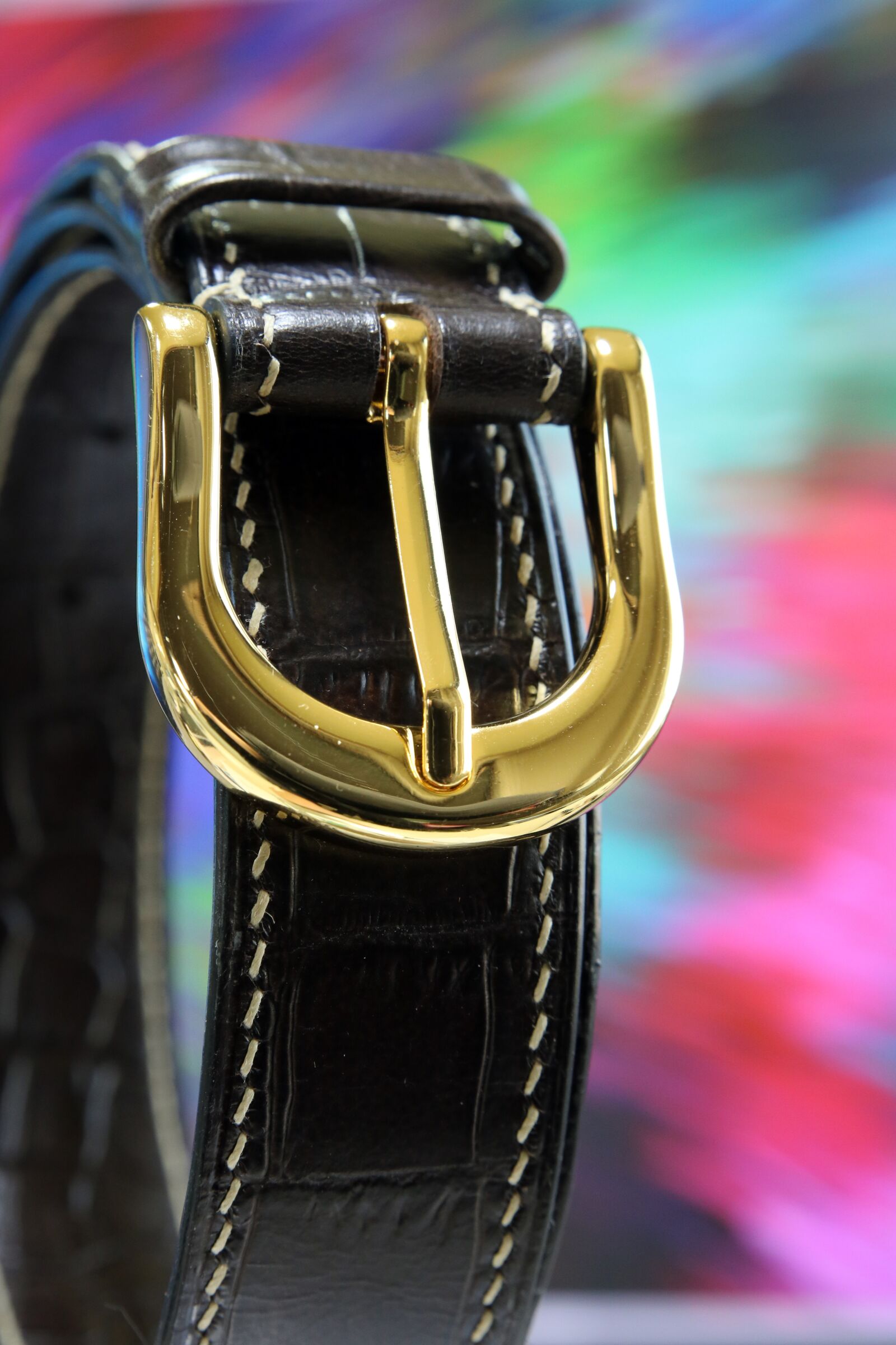 Canon EOS 750D (EOS Rebel T6i / EOS Kiss X8i) sample photo. Leather craft, sewing, waistband photography
