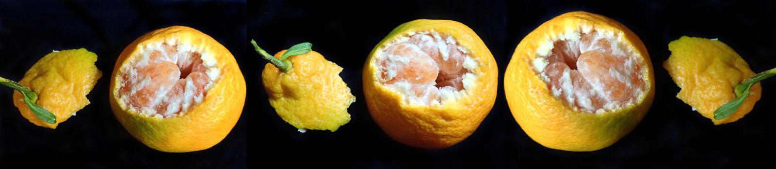 Olympus TG-5 sample photo. Fruit, mandarin, peeled photography