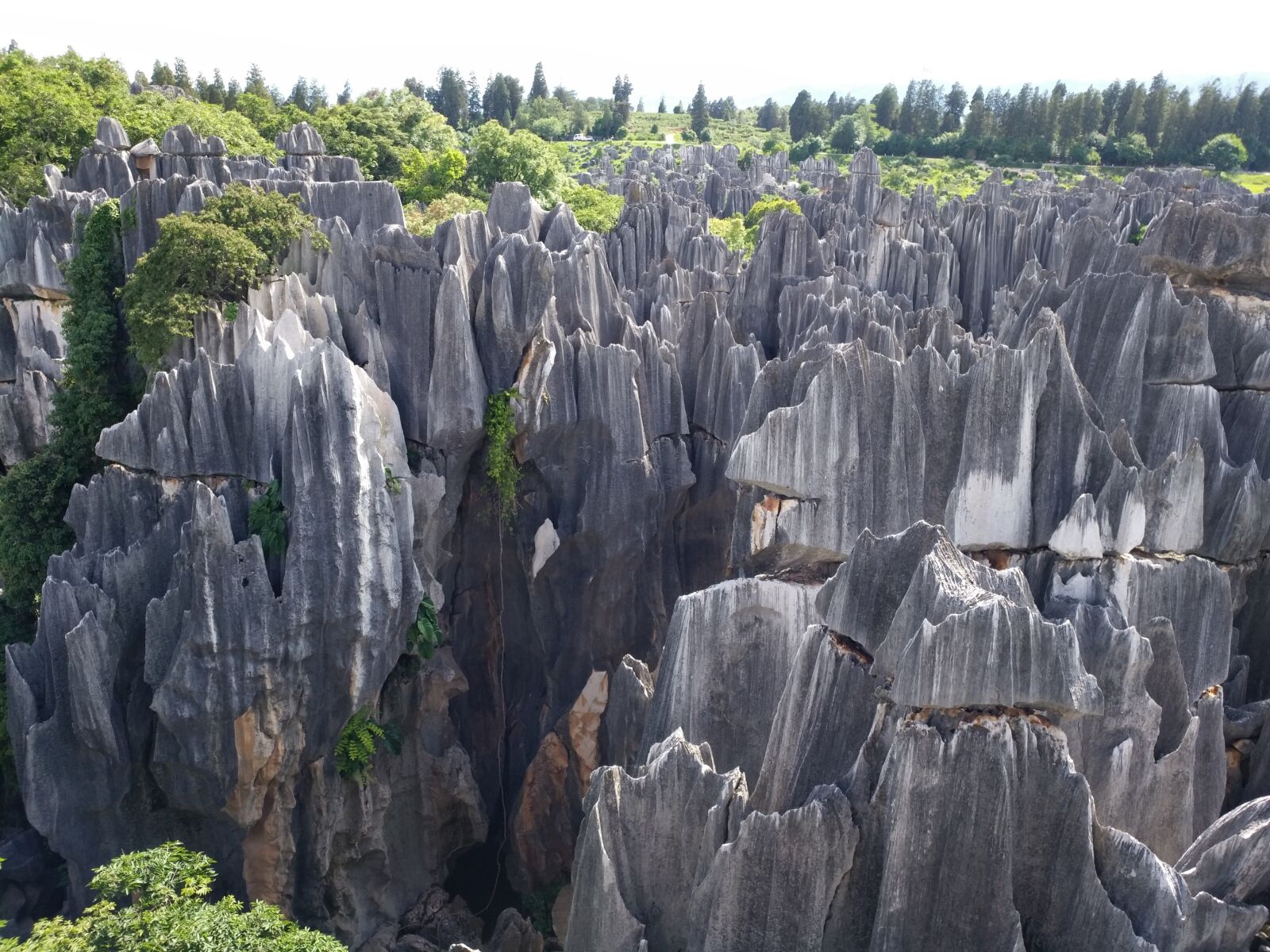 vivo X6SPLUS D sample photo. Stone forest, in yunnan photography
