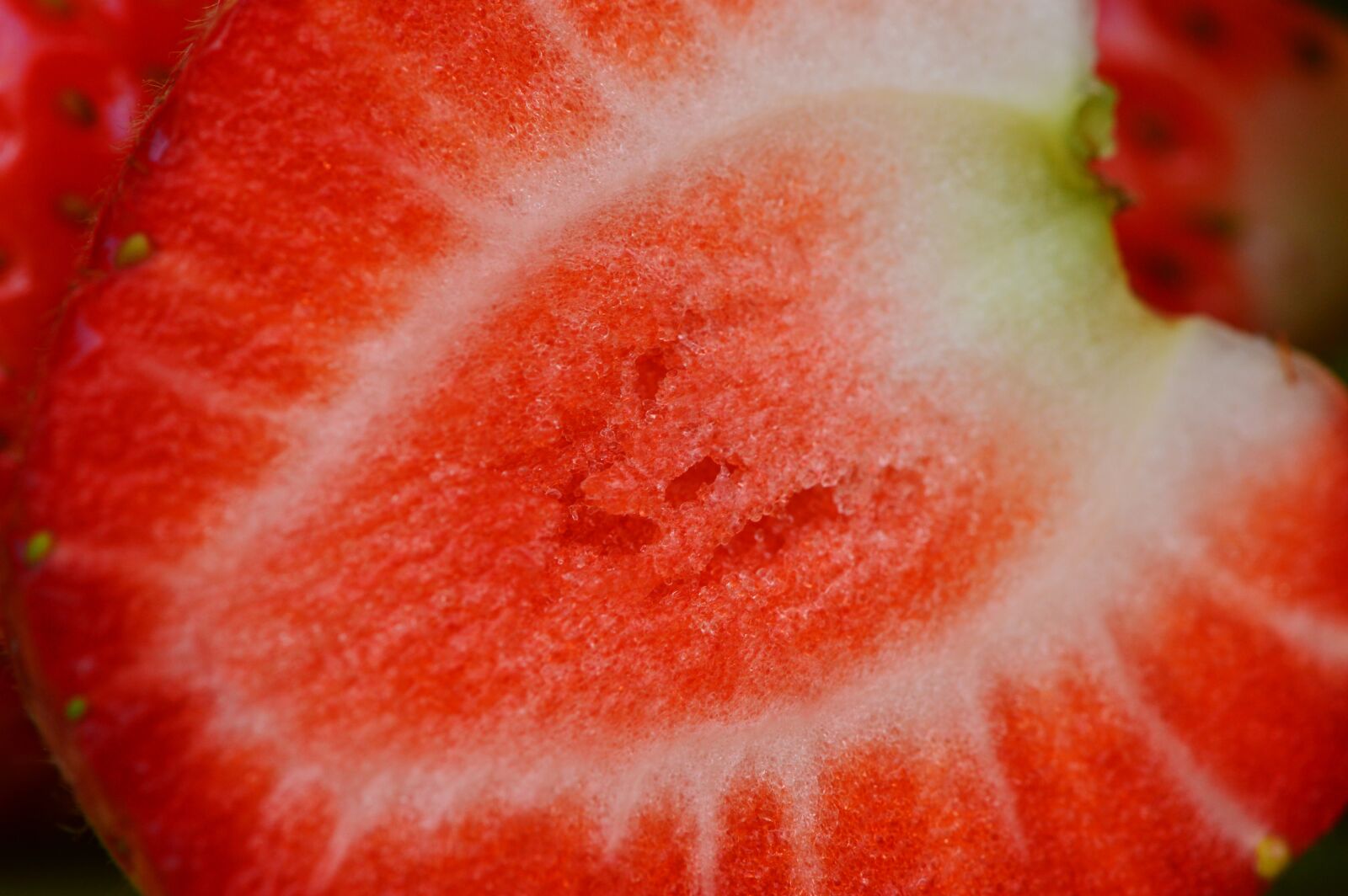 Nikon D3200 sample photo. Strawberries, fruit, close up photography