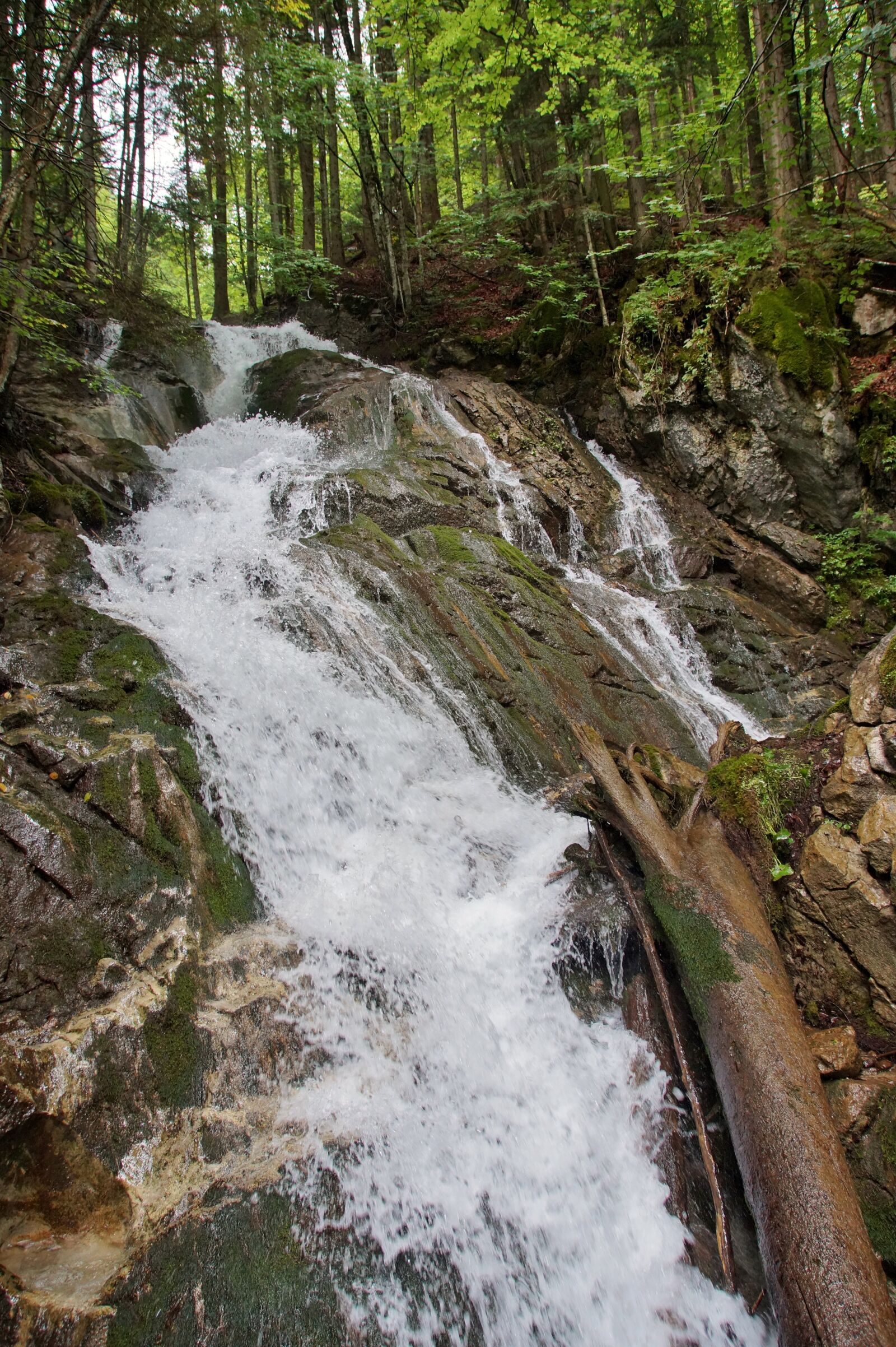 Sony SLT-A58 sample photo. Alps, austria, defile photography